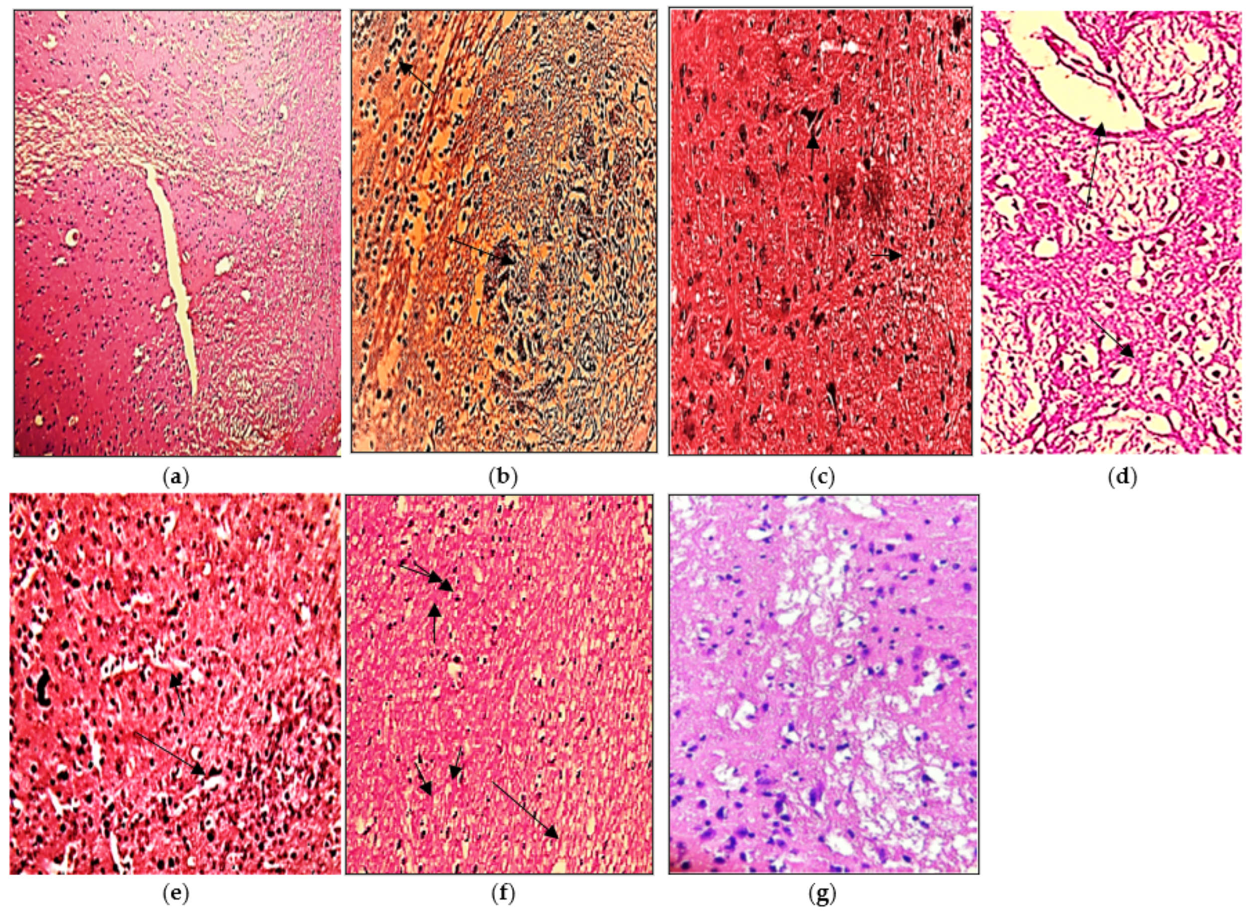 Molecules 27 01608 g007 Molecules 27 01608 g007