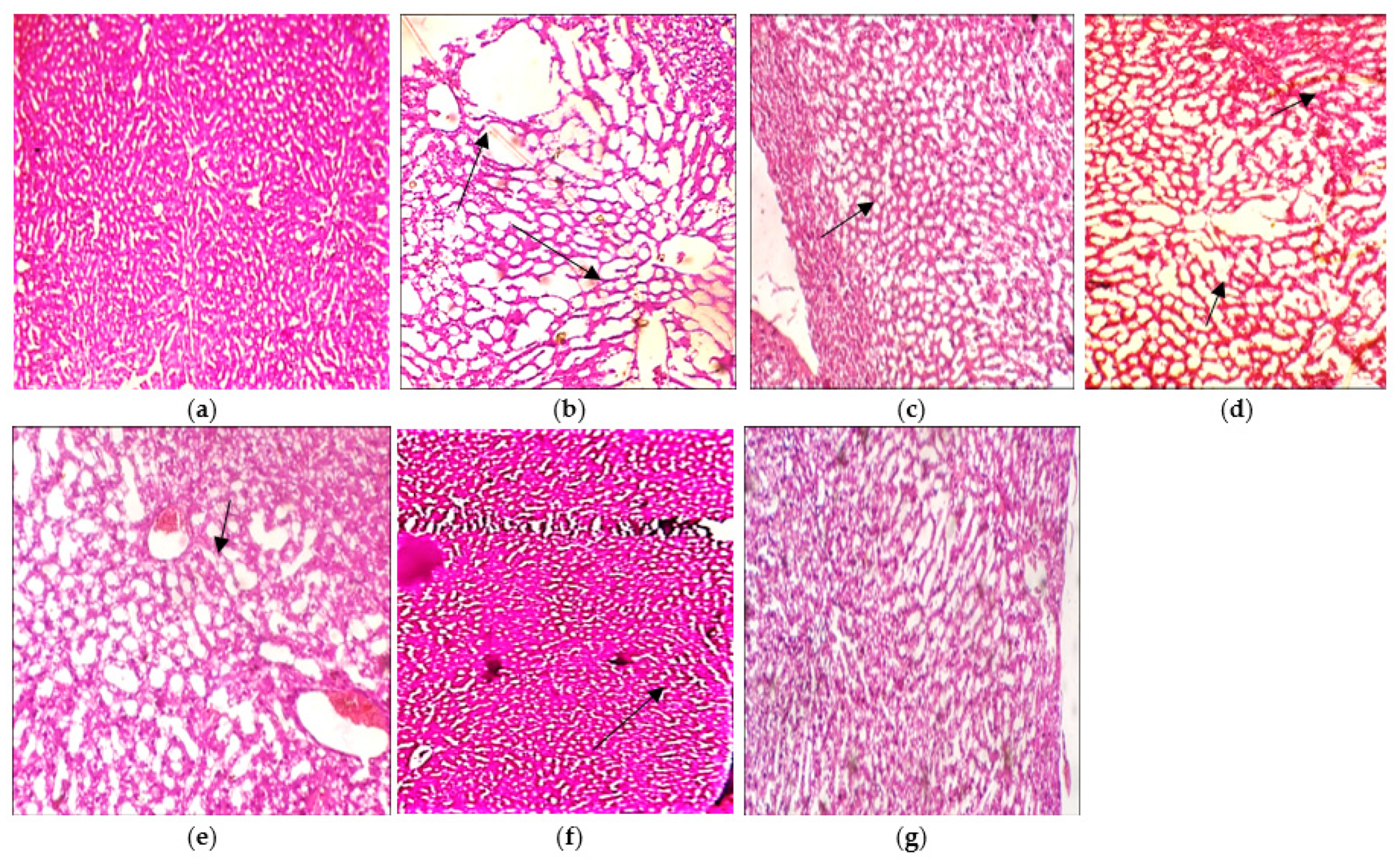 Molecules 27 01608 g008 Molecules 27 01608 g008