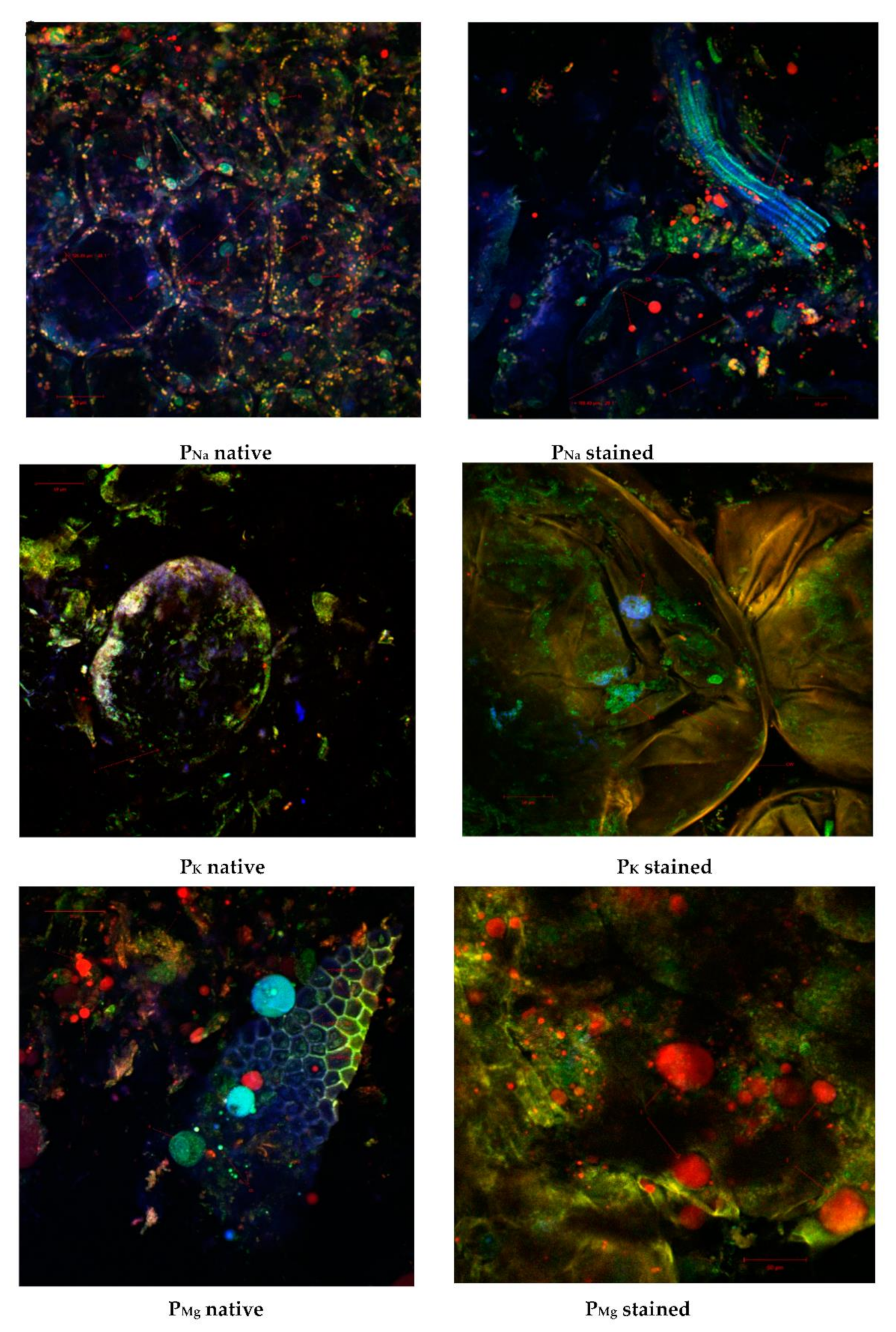 Molecules 27 01609 g002 550