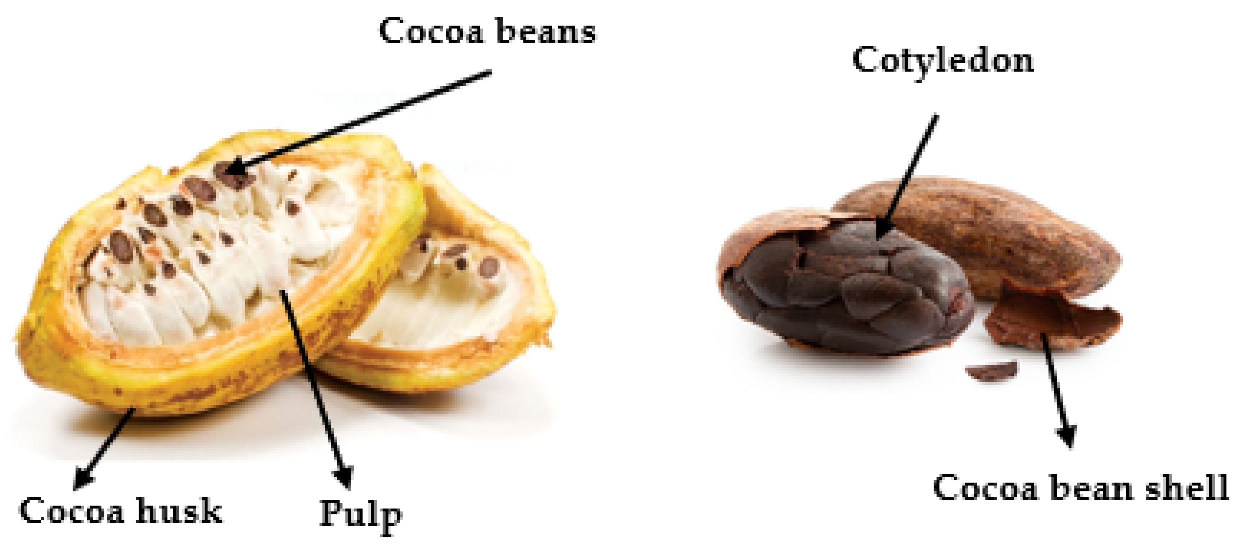 Molecules Free FullText Cocoa ByProducts Characterization of