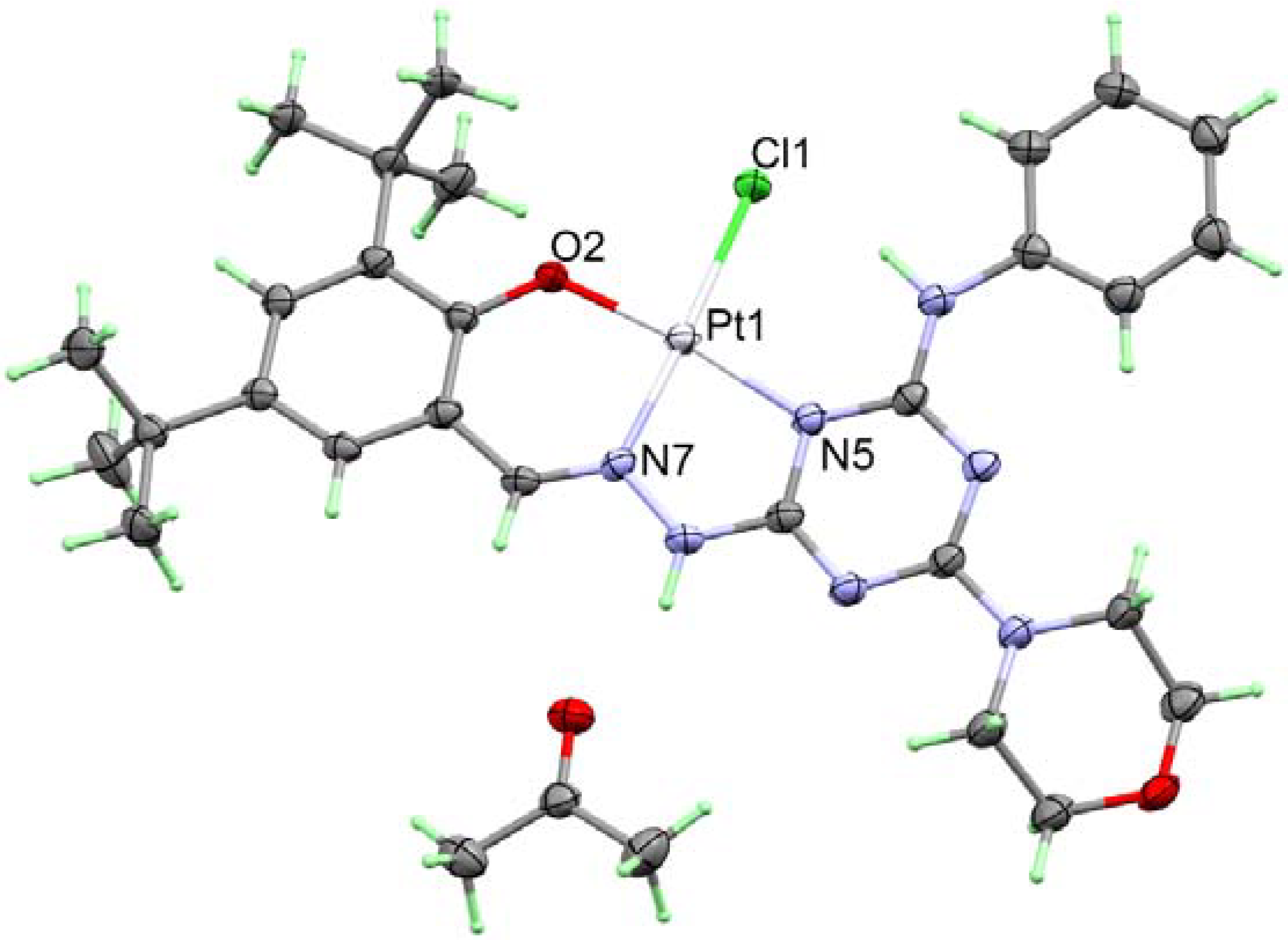 Molecules 27 01628 g002a