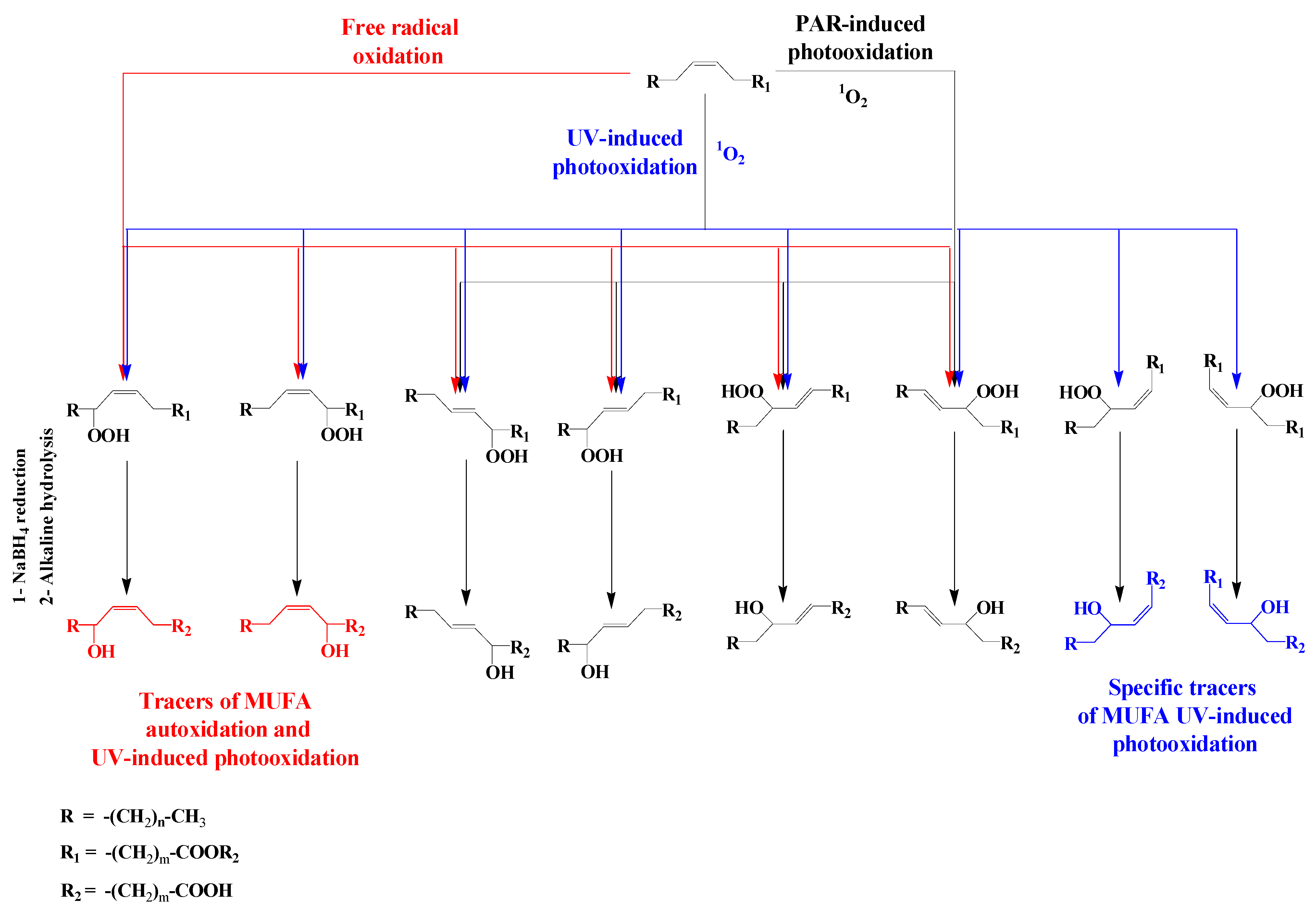Molecules 27 01629 sch005 550