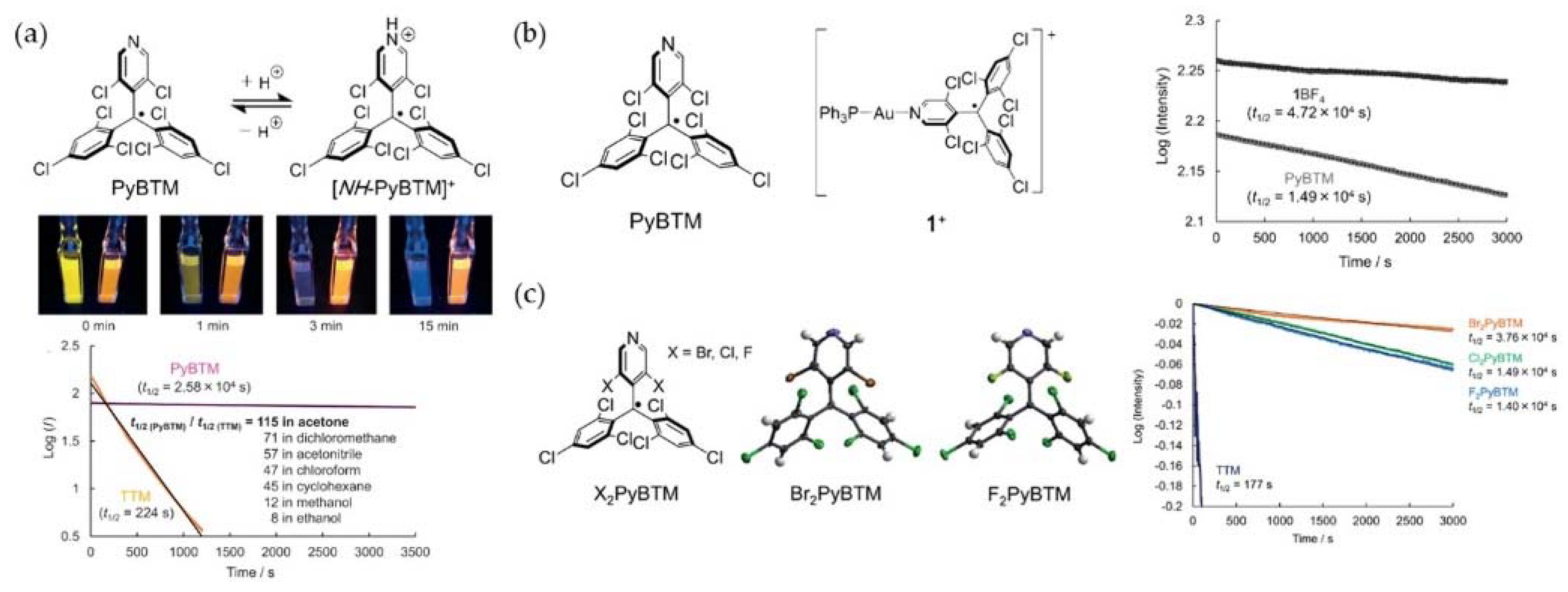 Molecules 27 01632 g017