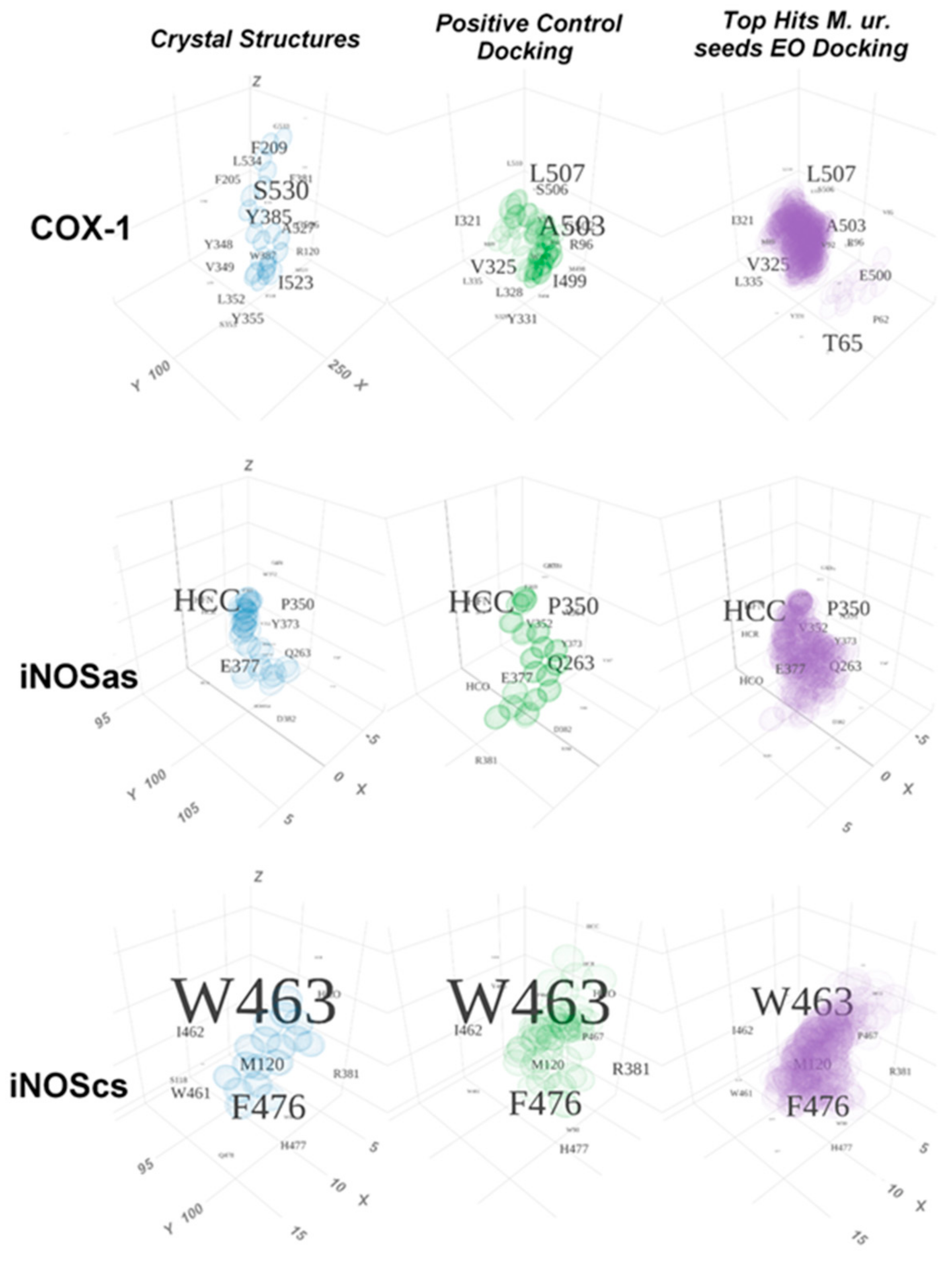 Molecules 27 01633 g008 550