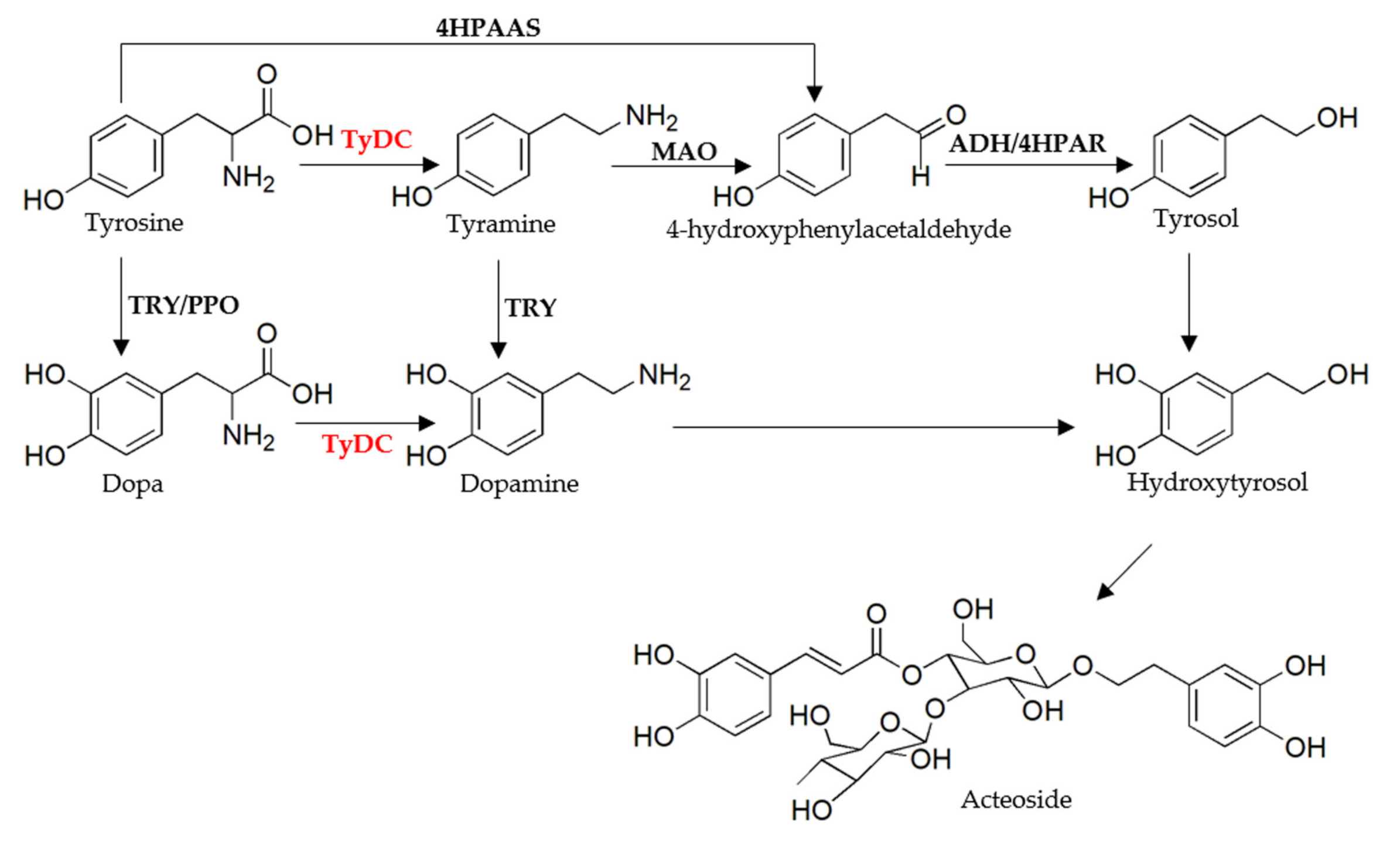 Molecules 27 01634 g001 550