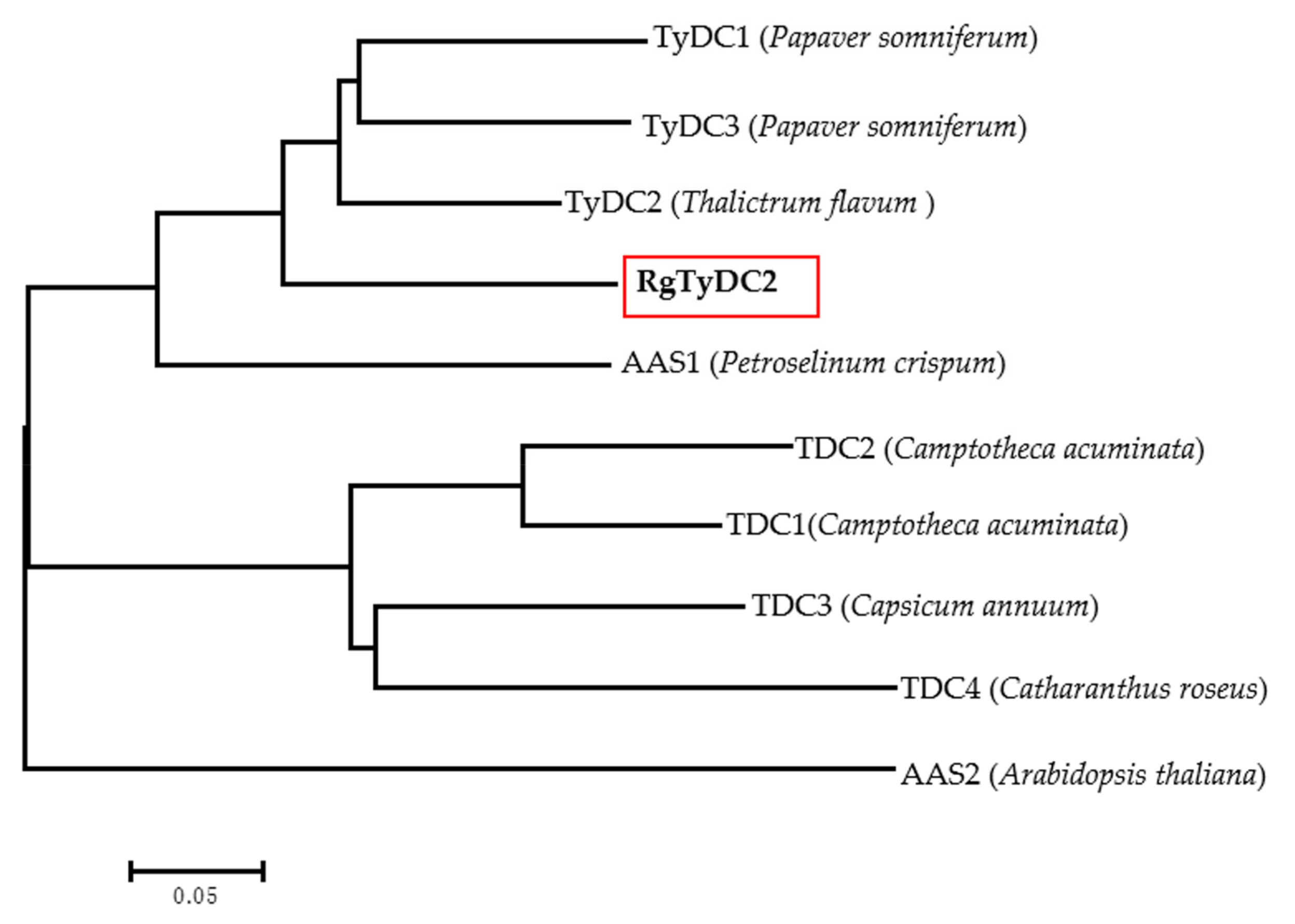 Molecules 27 01634 g003 550