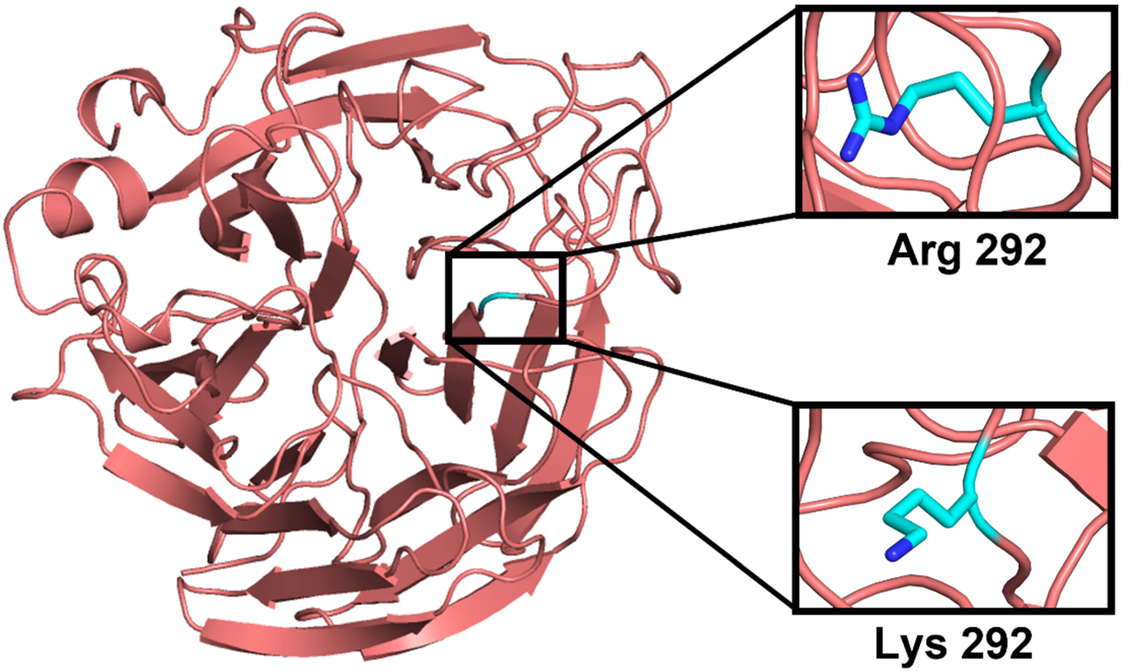 Molecules 27 01645 g002 550