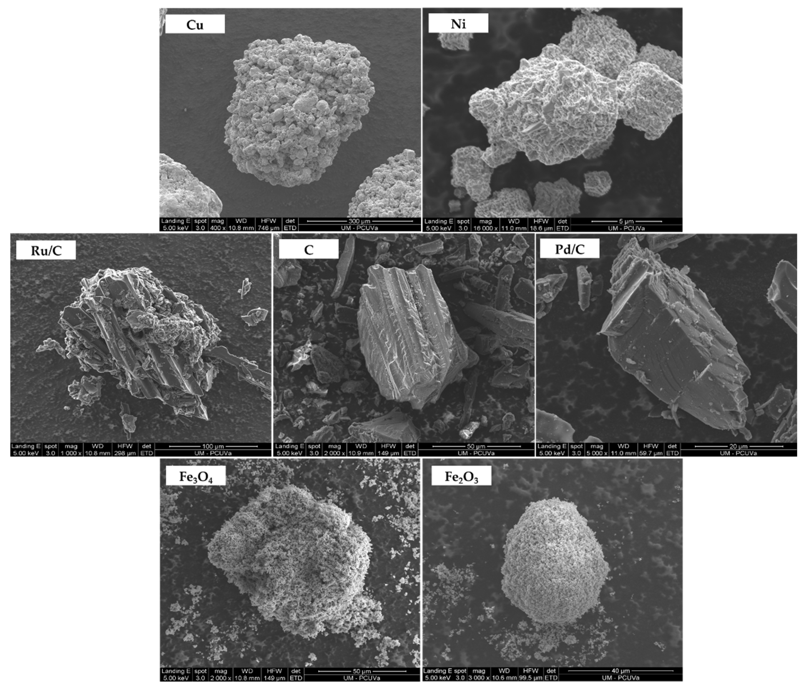 Molecules 27 01652 g001