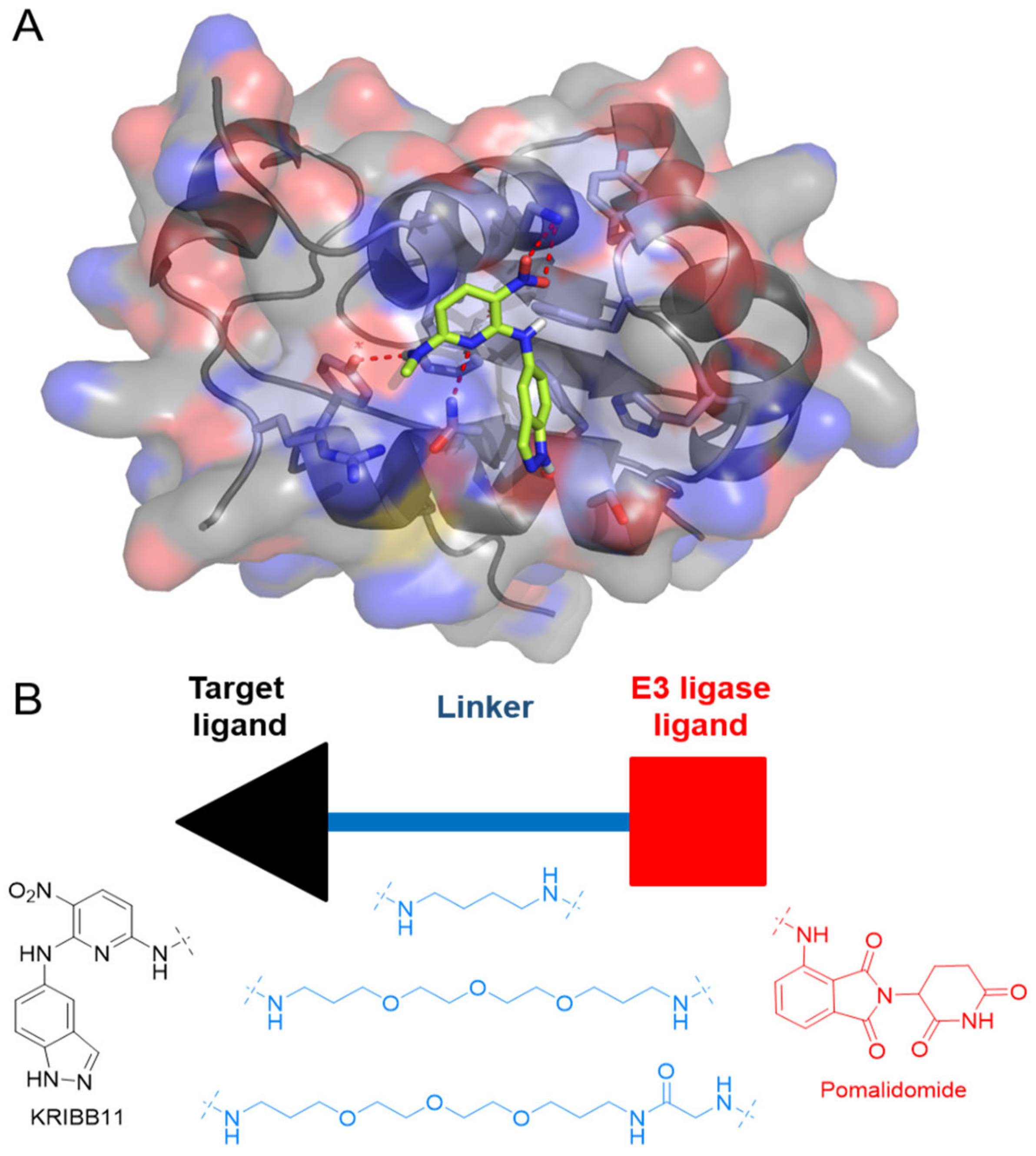 Molecules 27 01655 g001