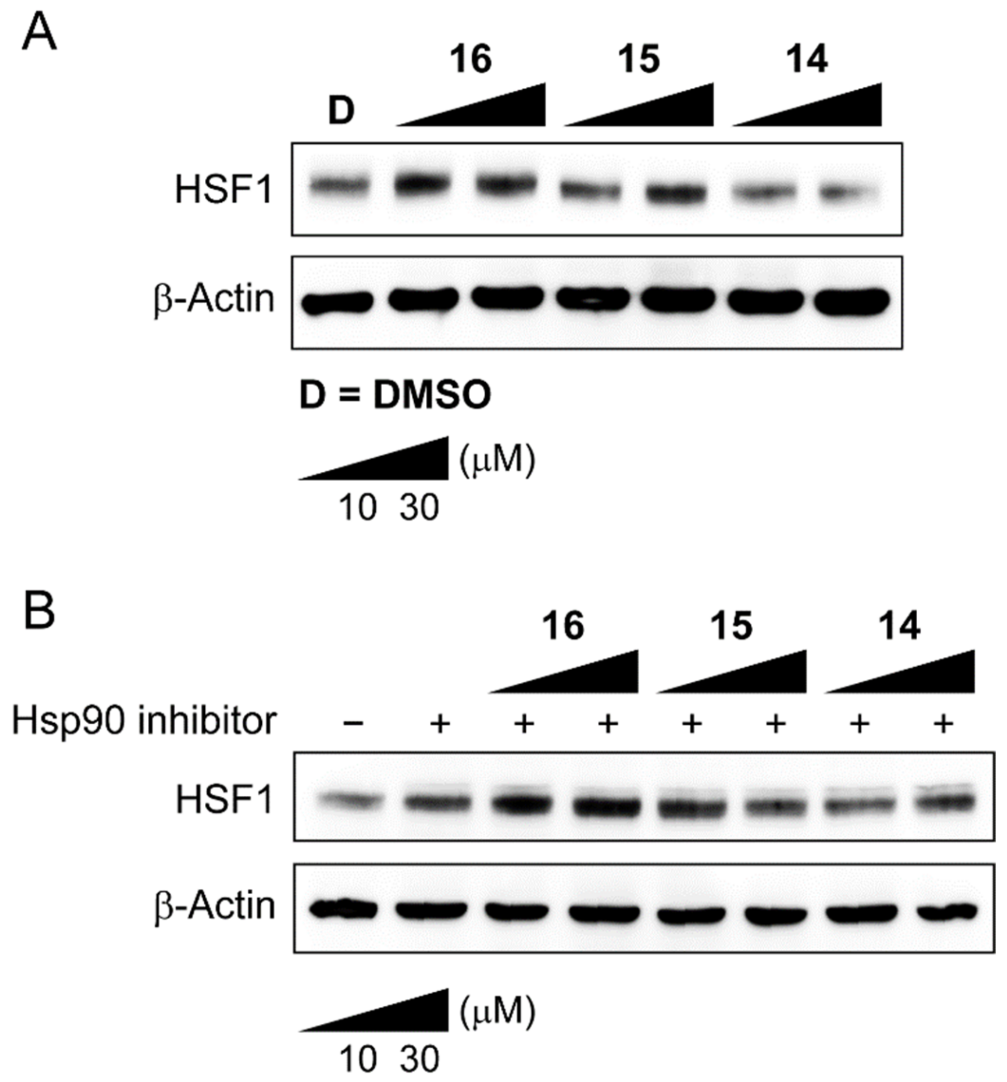 Molecules 27 01655 g003