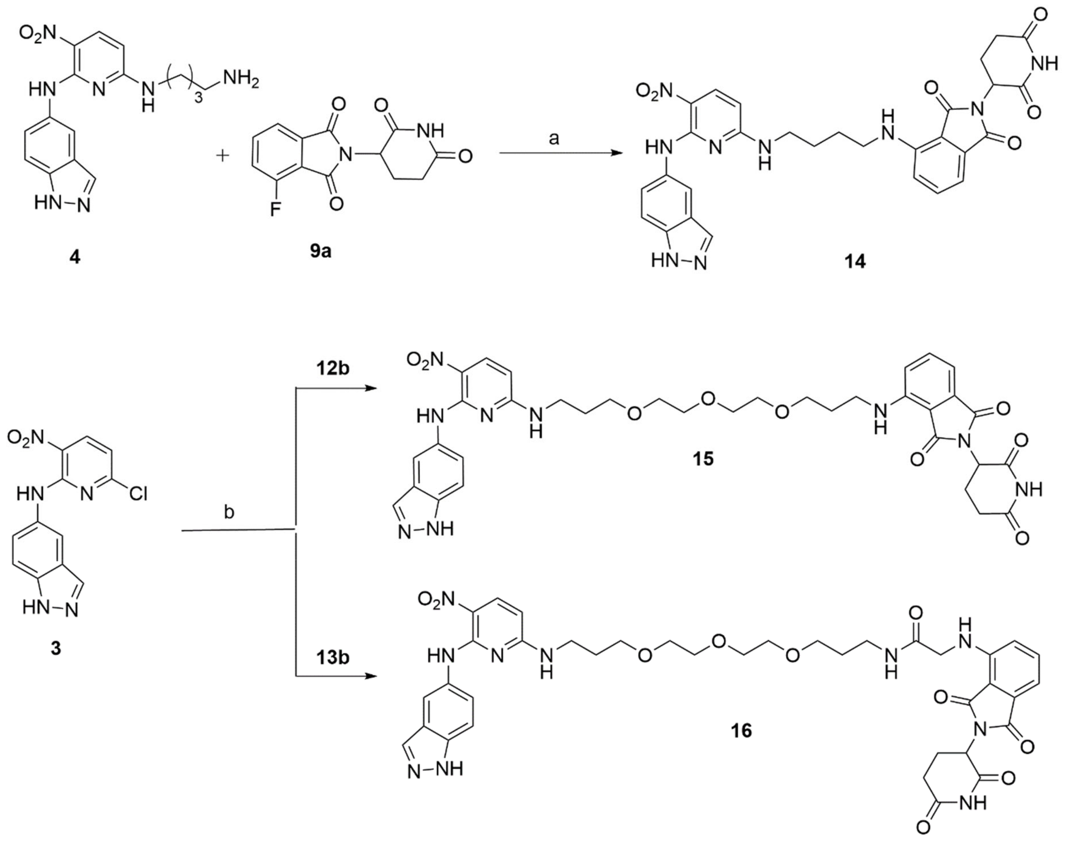 Molecules 27 01655 sch004