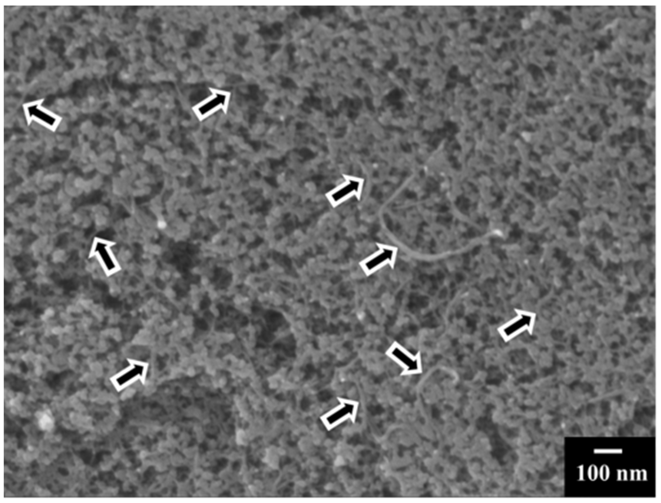 Molecules 27 01659 g004 550
