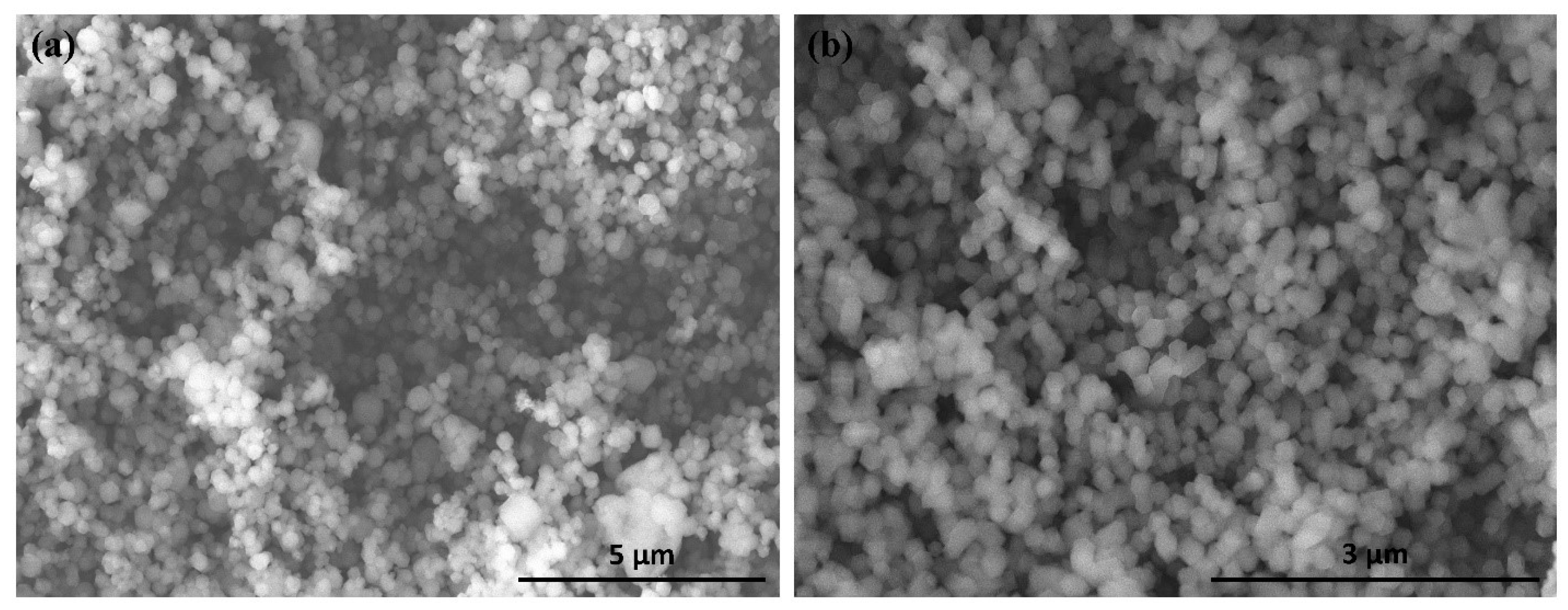 Molecules 27 01670 g001 550