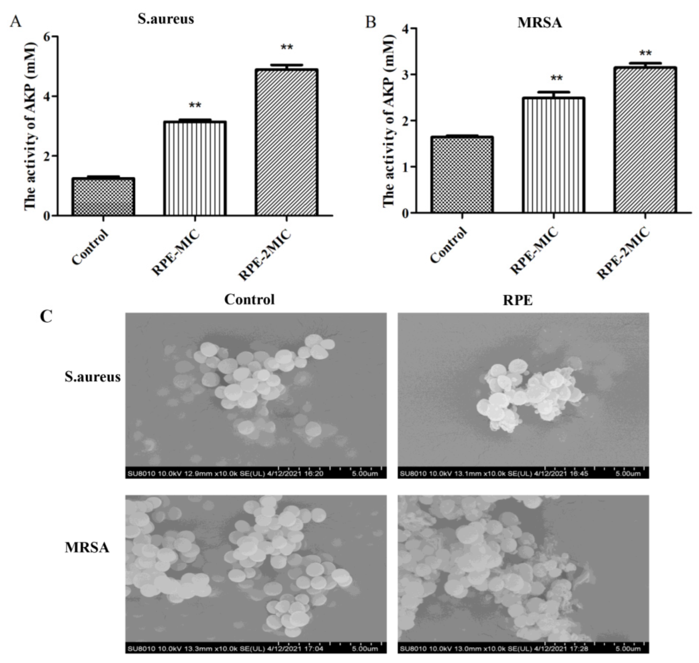 Molecules 27 01693 g004 Molecules 27 01693 g004