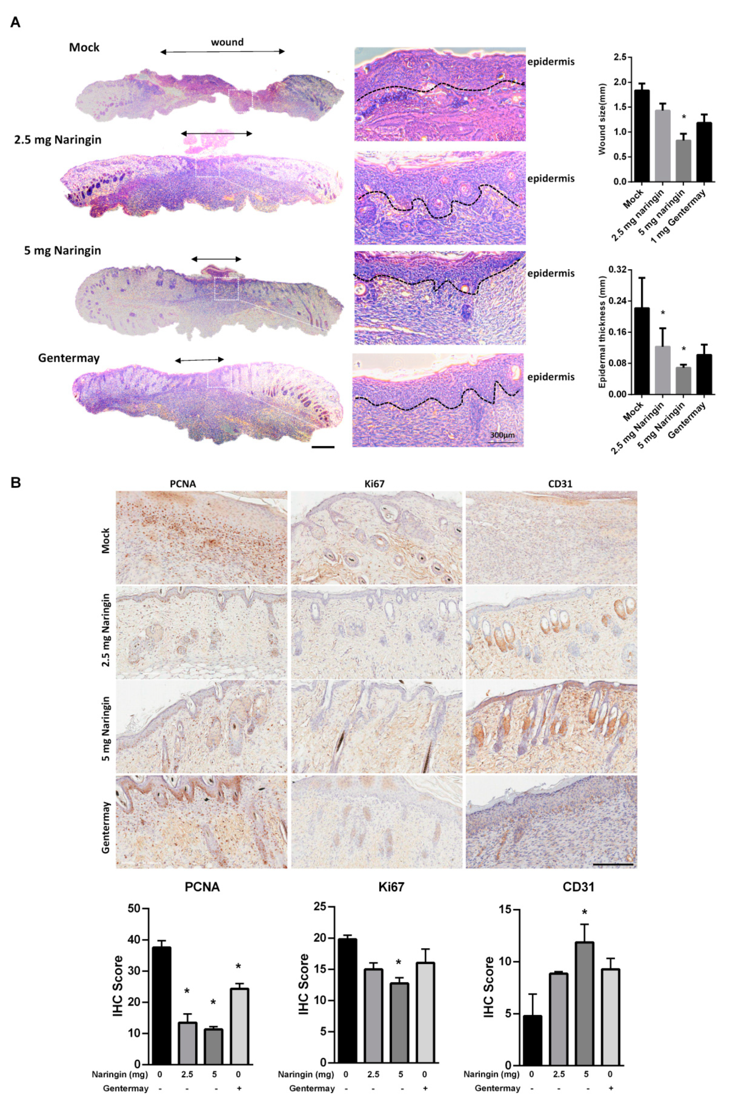 Molecules 27 01695 g002