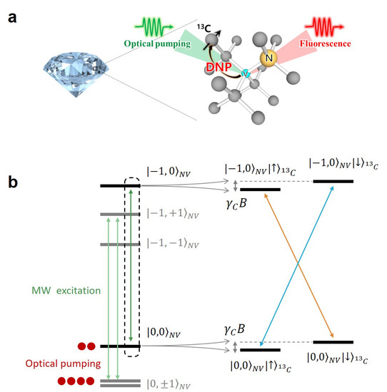 Optical Dynamic Nuclear Polarization of 13C Spins in Diamond at a Low ...