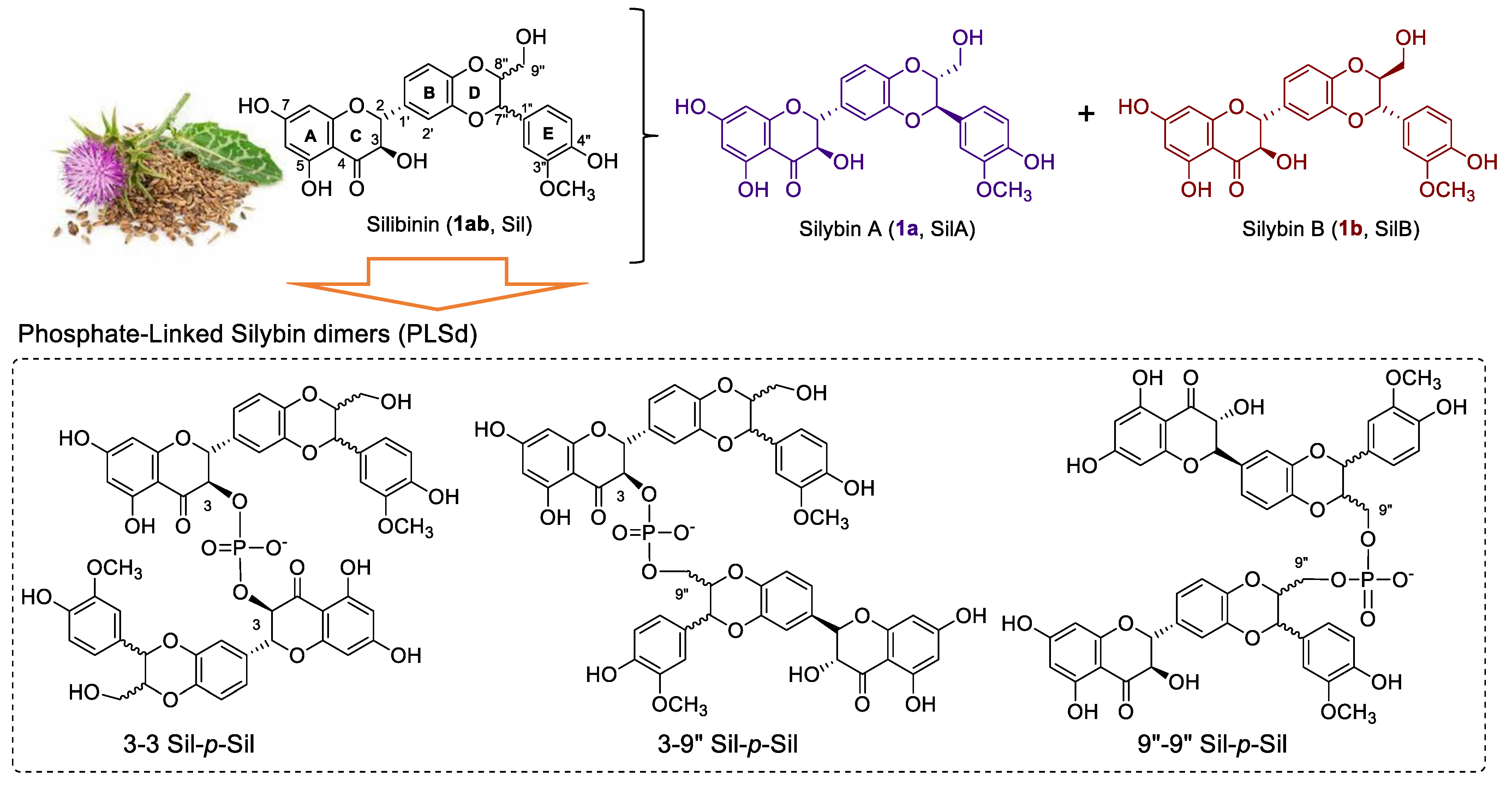 Molecules 27 01702 g001