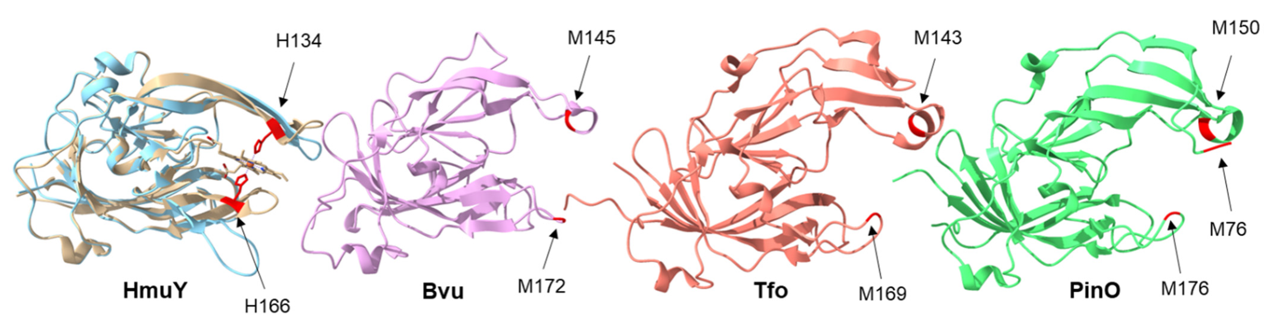 Molecules 27 01703 g002