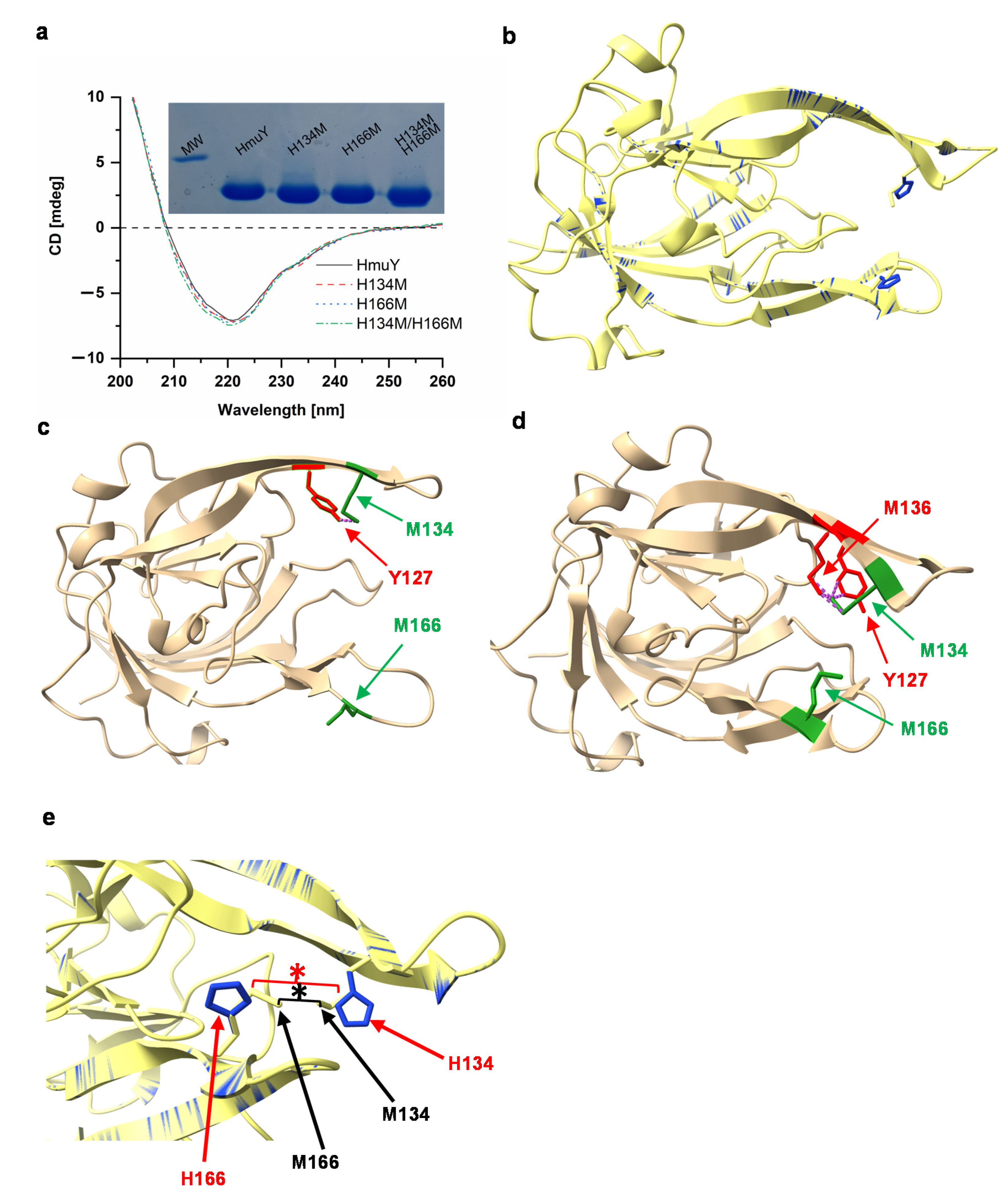 Molecules 27 01703 g003