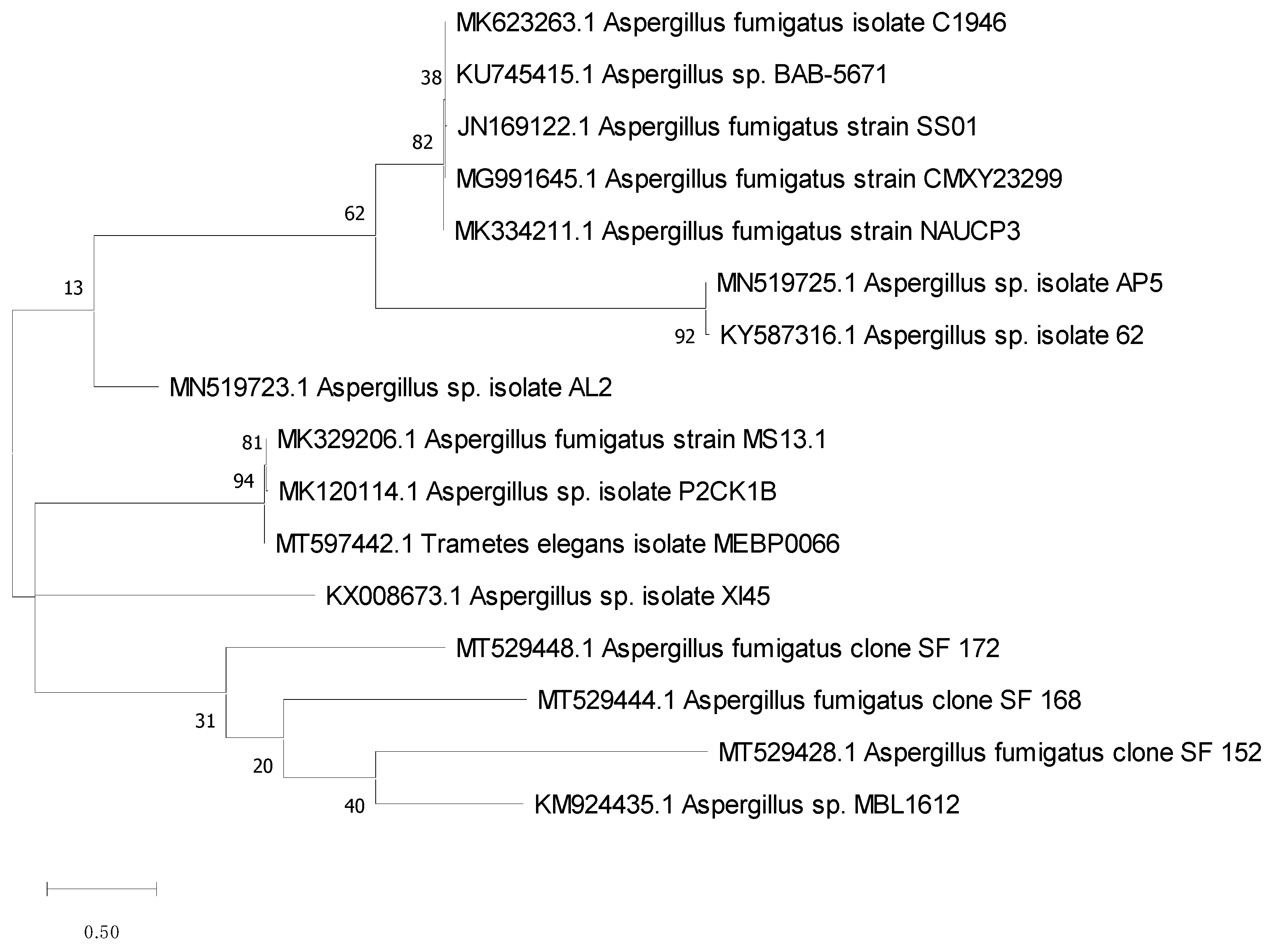 Molecules 27 01704 g002 Molecules 27 01704 g002