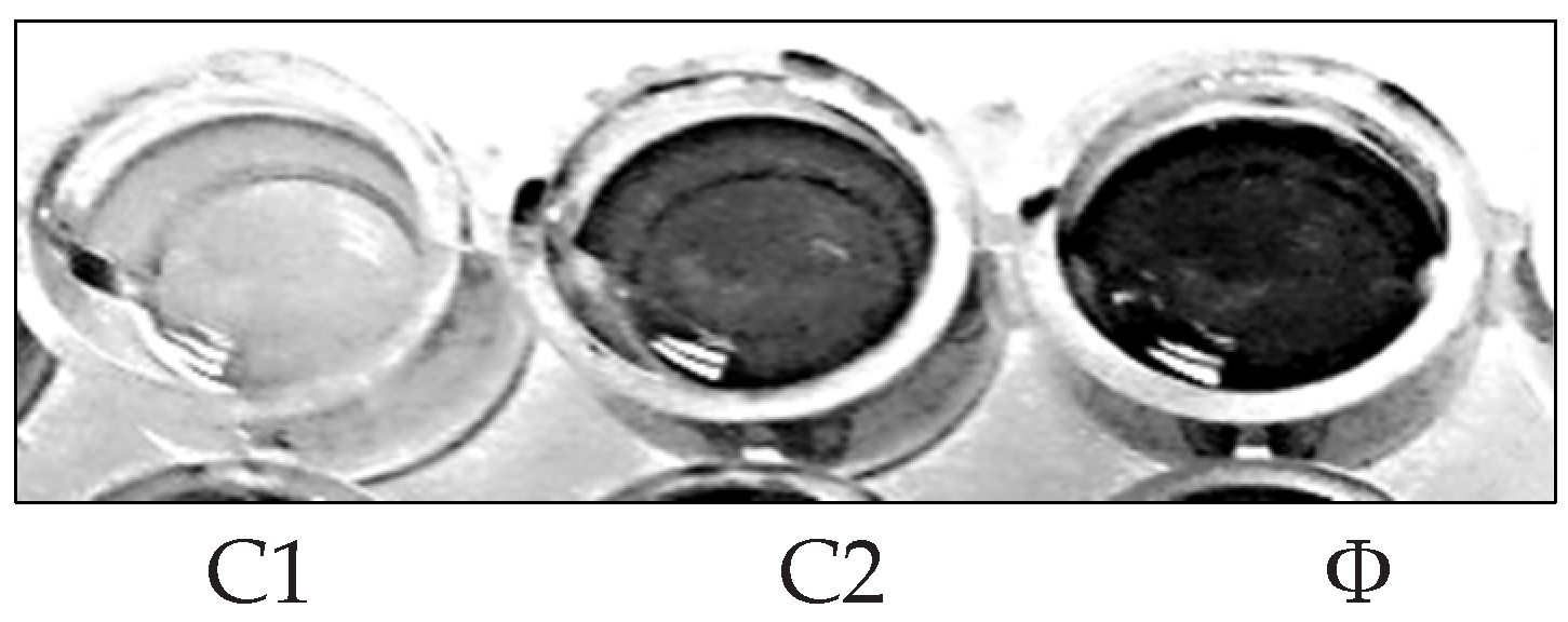 Molecules 27 01704 g003 Molecules 27 01704 g003
