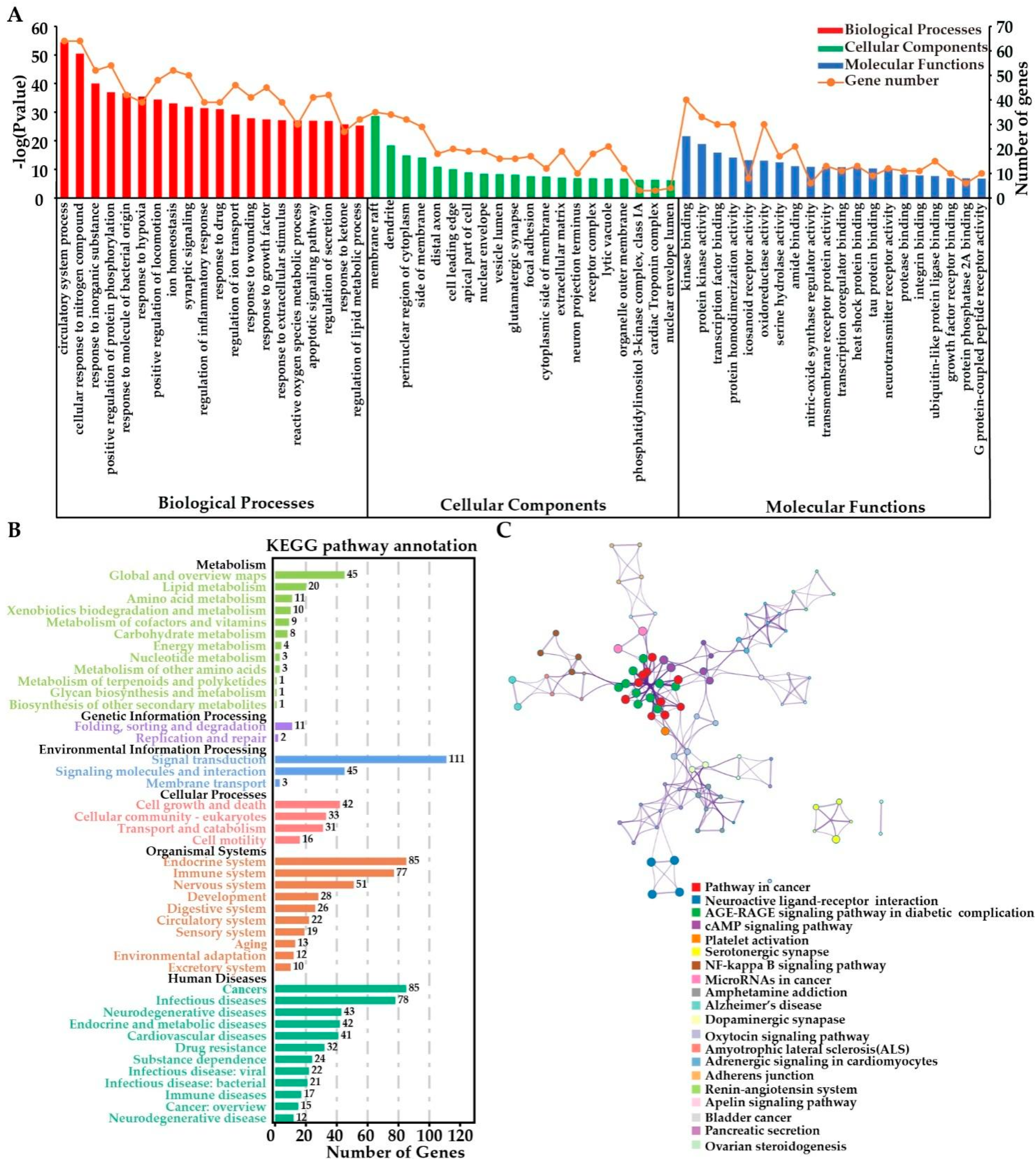 Molecules 27 01706 g004