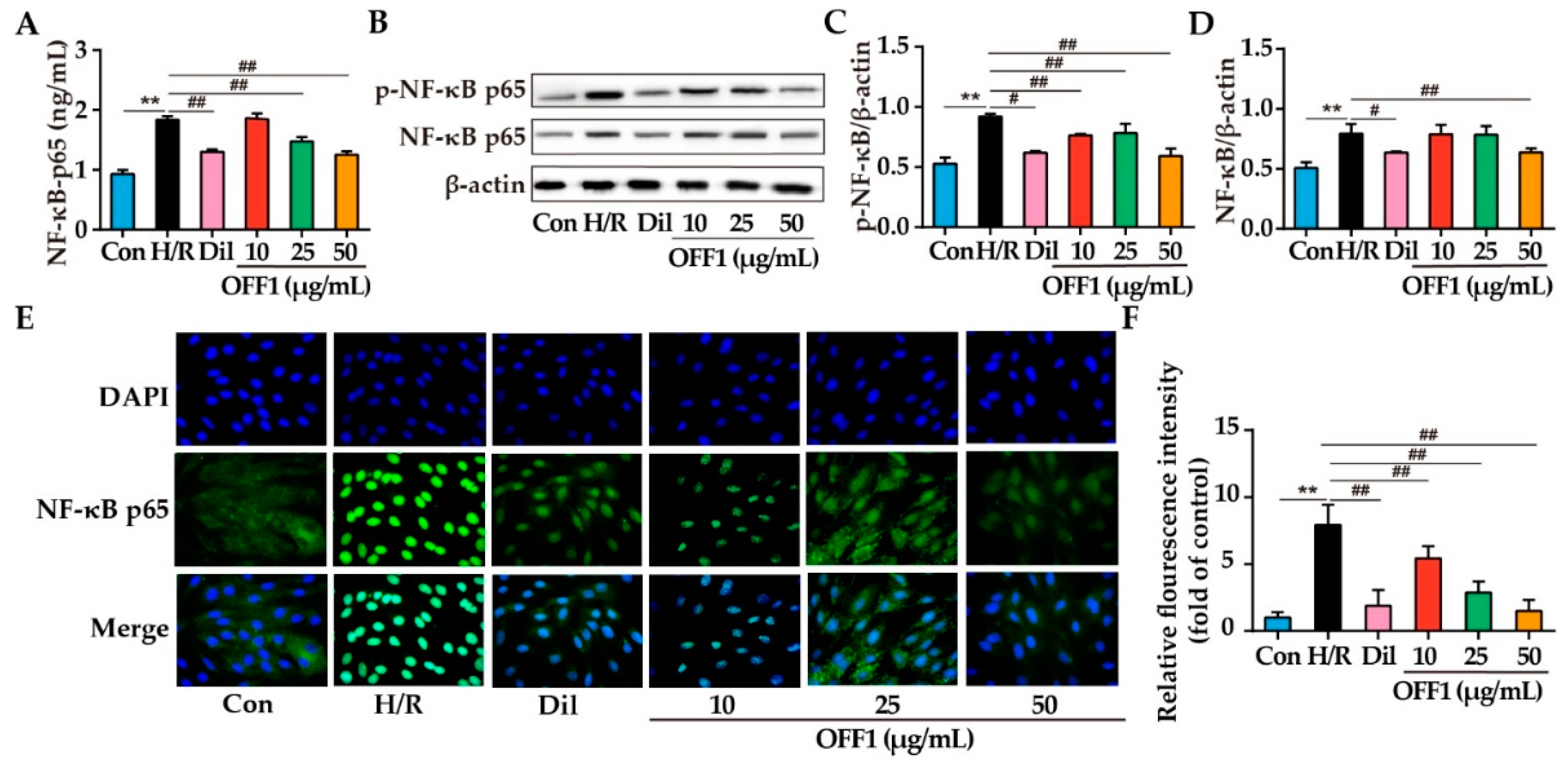 Molecules 27 01706 g006