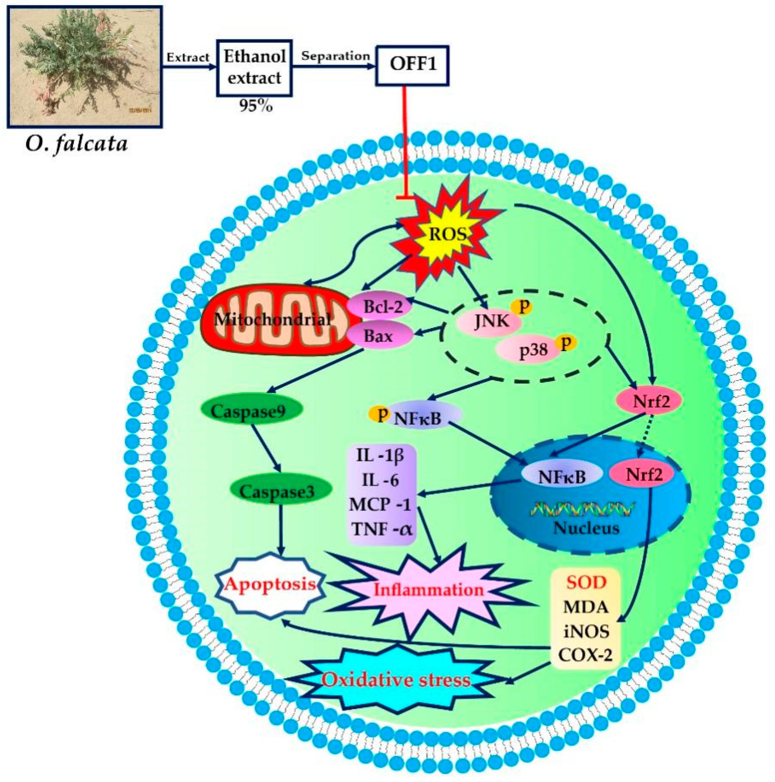 Molecules 27 01706 g008