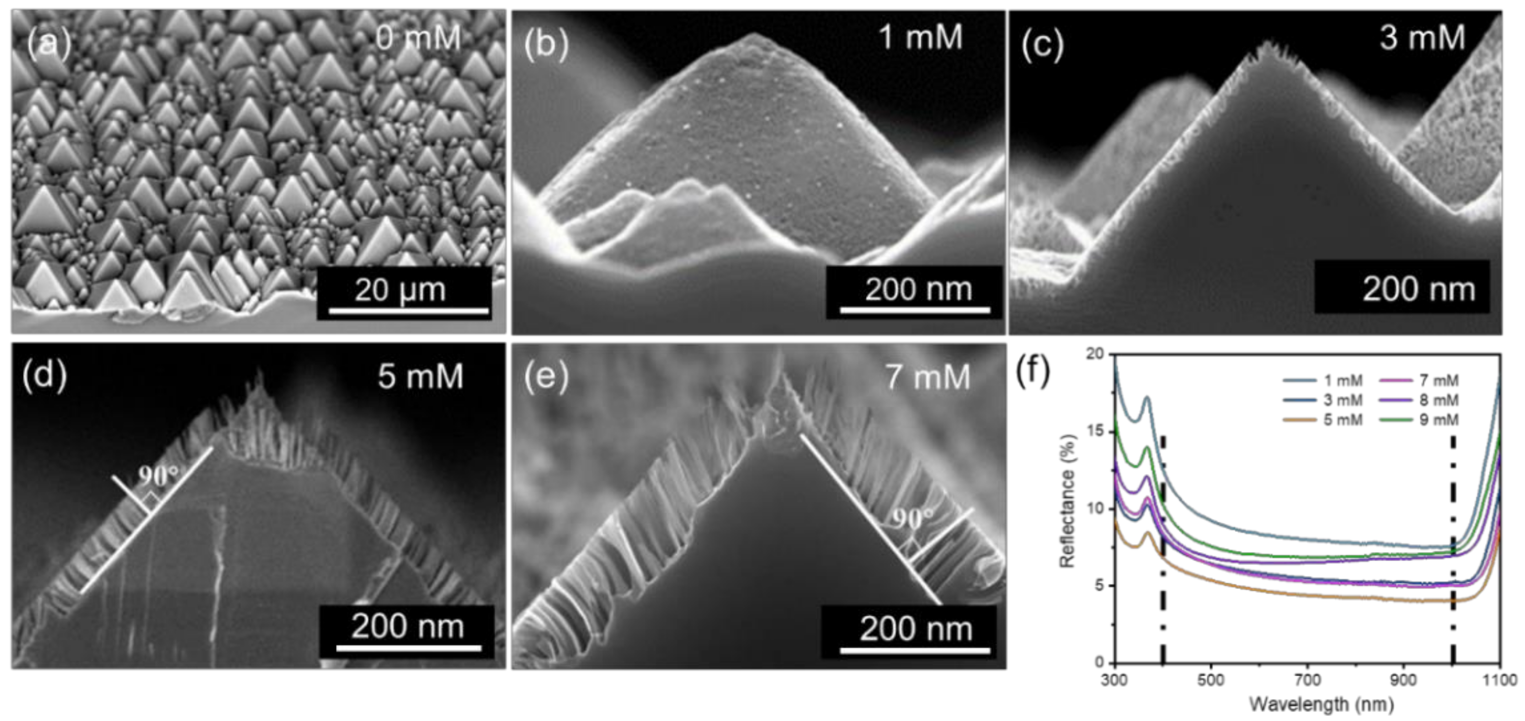Molecules 27 01710 g002