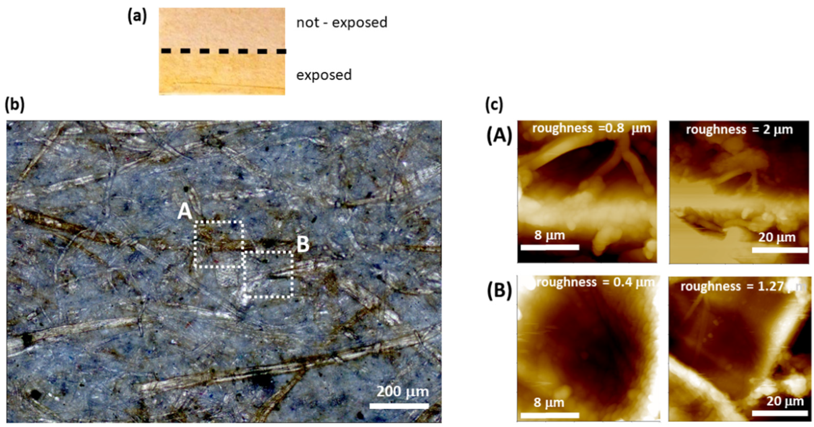 Molecules 27 01712 g001 550