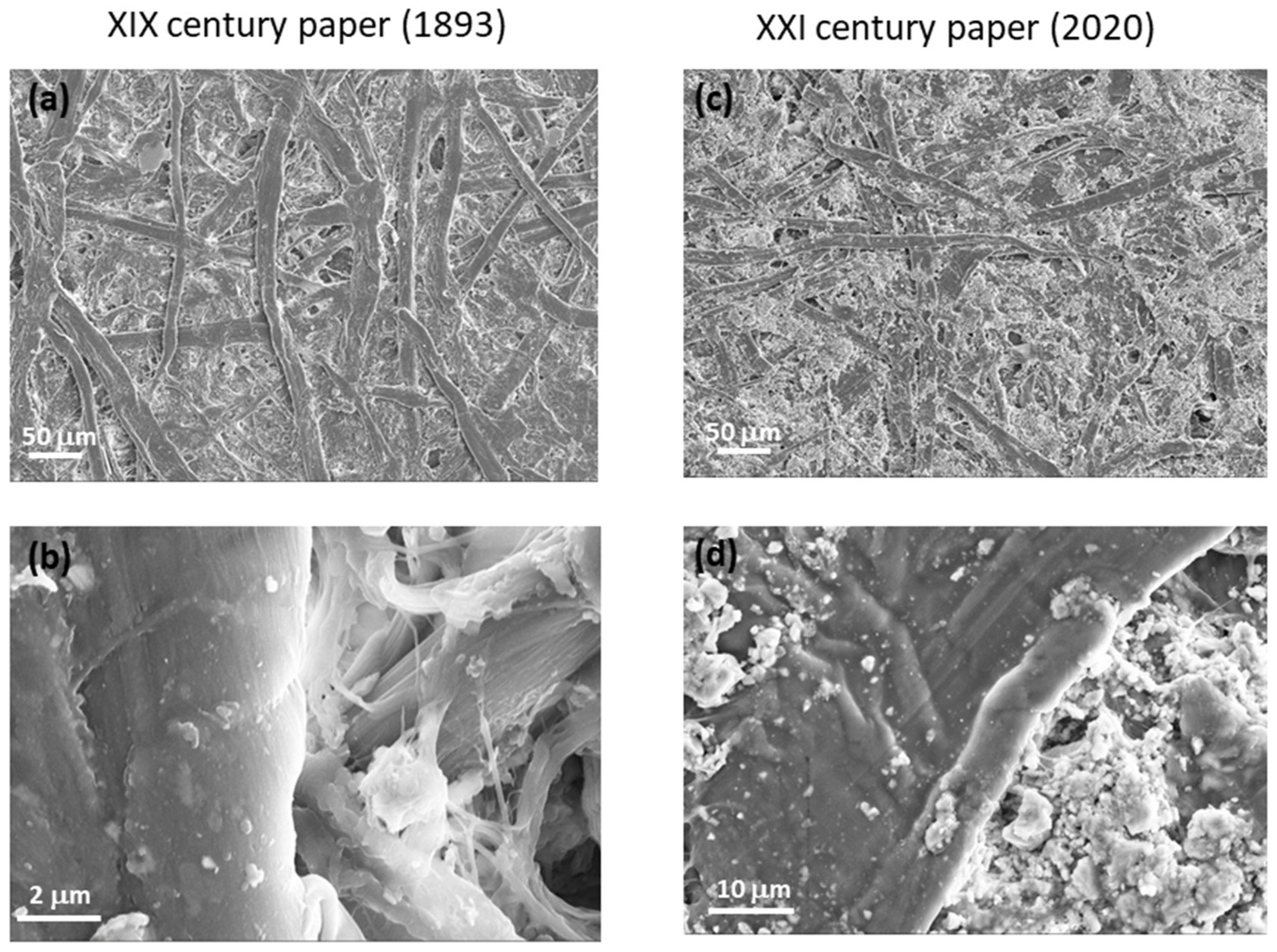 Molecules 27 01712 g006 550
