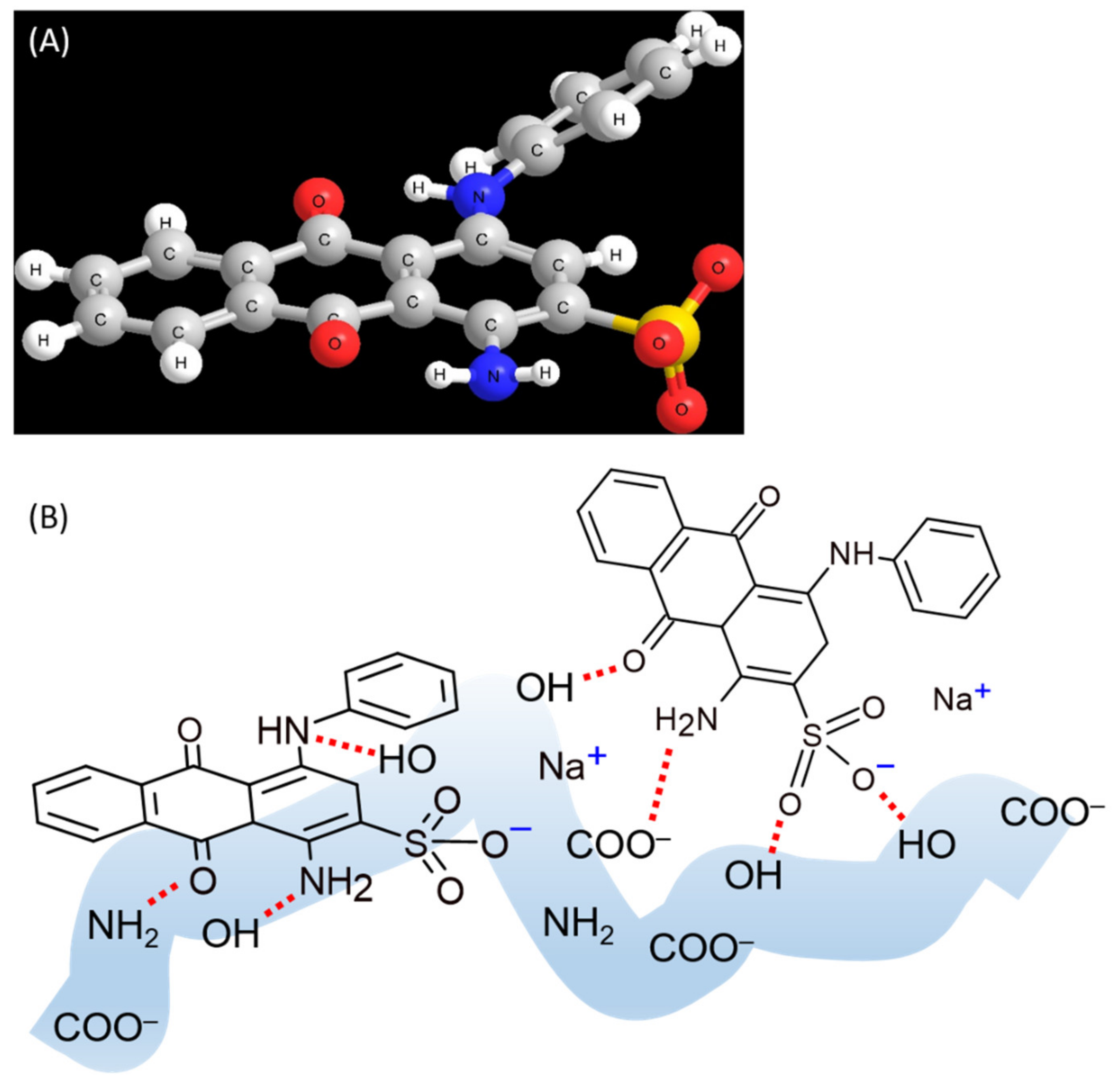 Molecules 27 01718 g006