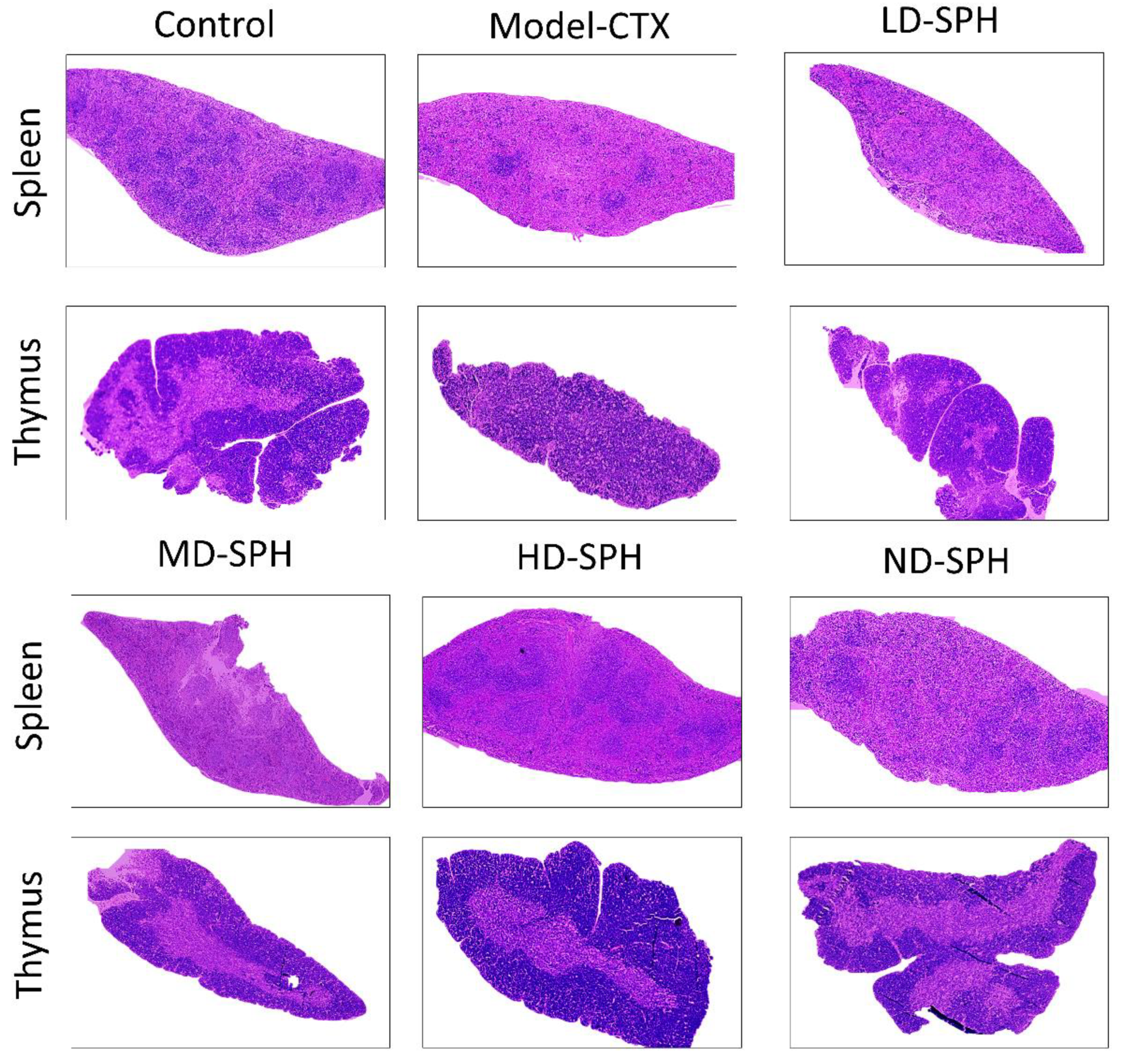 Molecules 27 01720 g005
