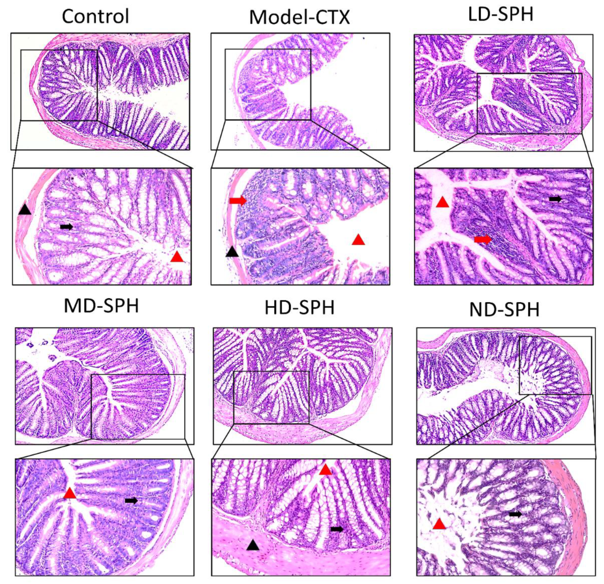 Molecules 27 01720 g006