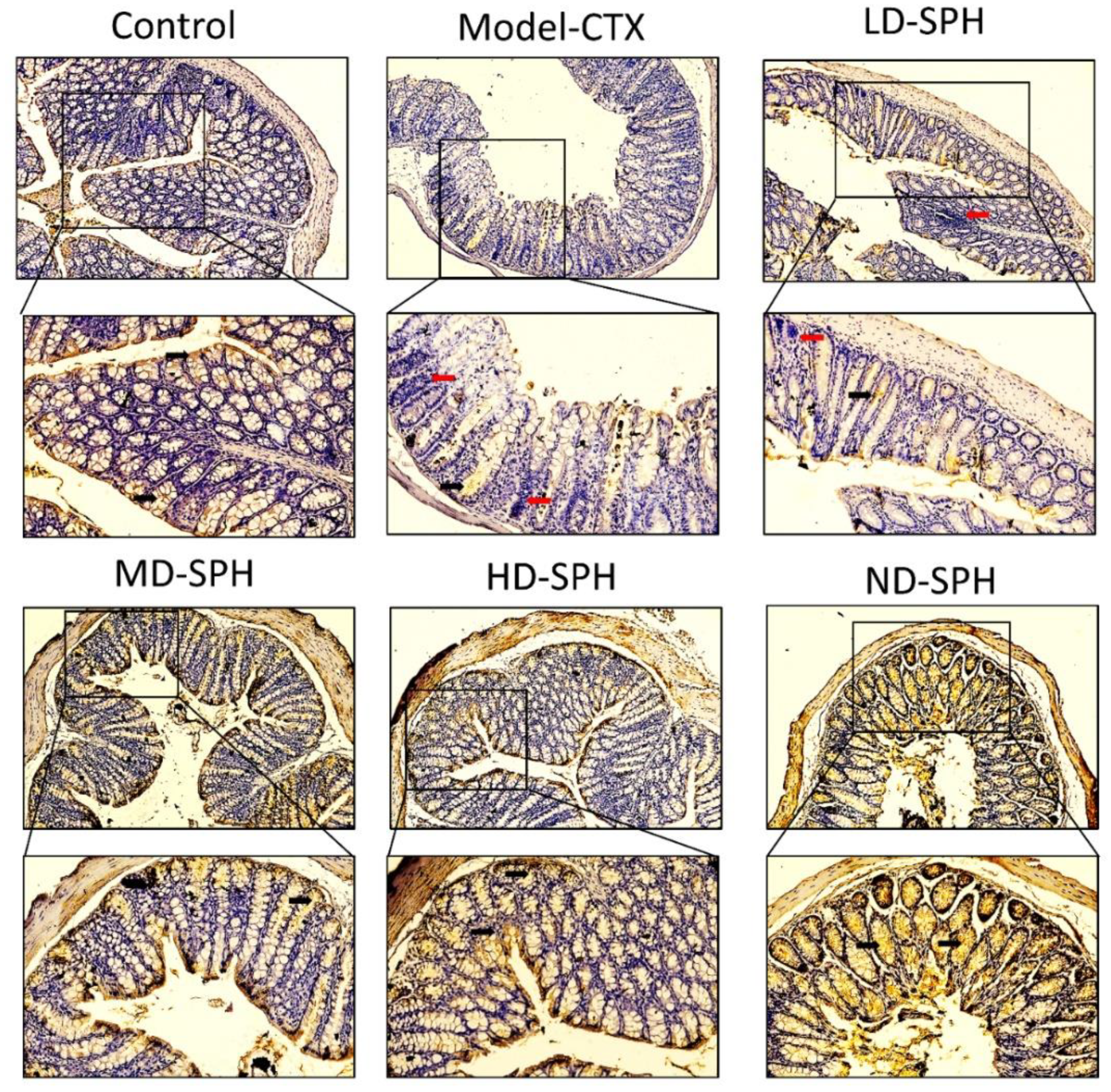 Molecules 27 01720 g008