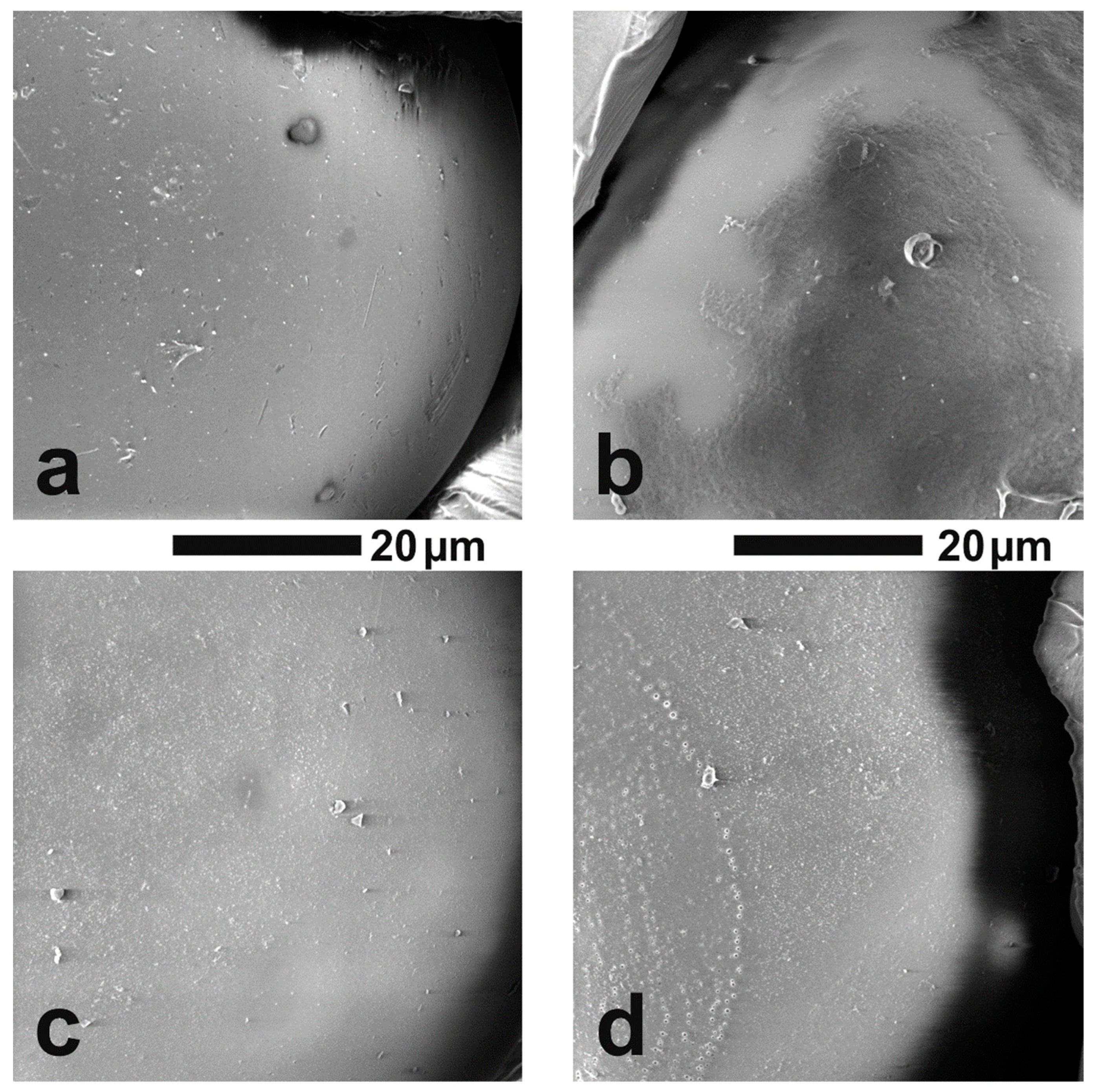 Molecules 27 01723 g003 550