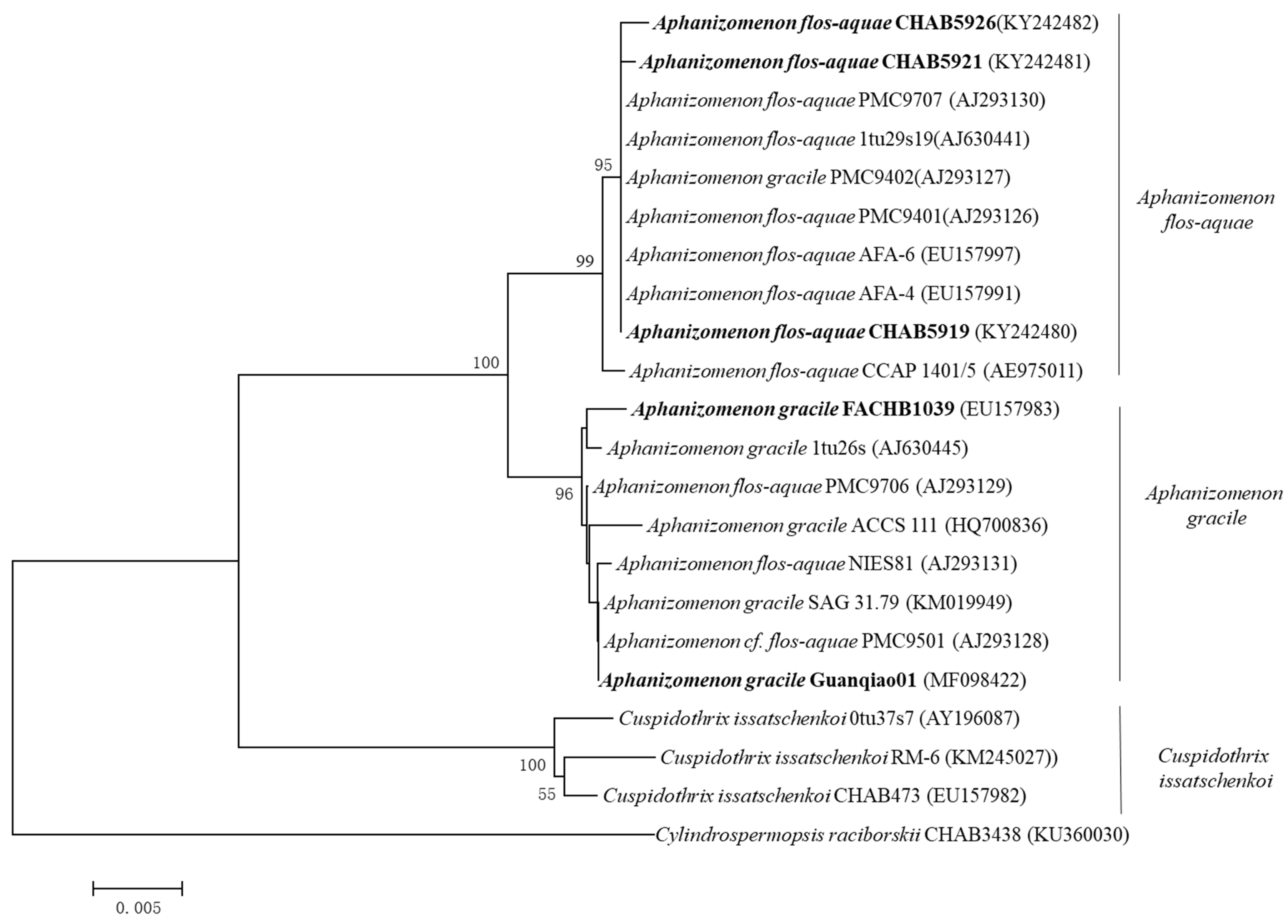 Molecules 27 01734 g002