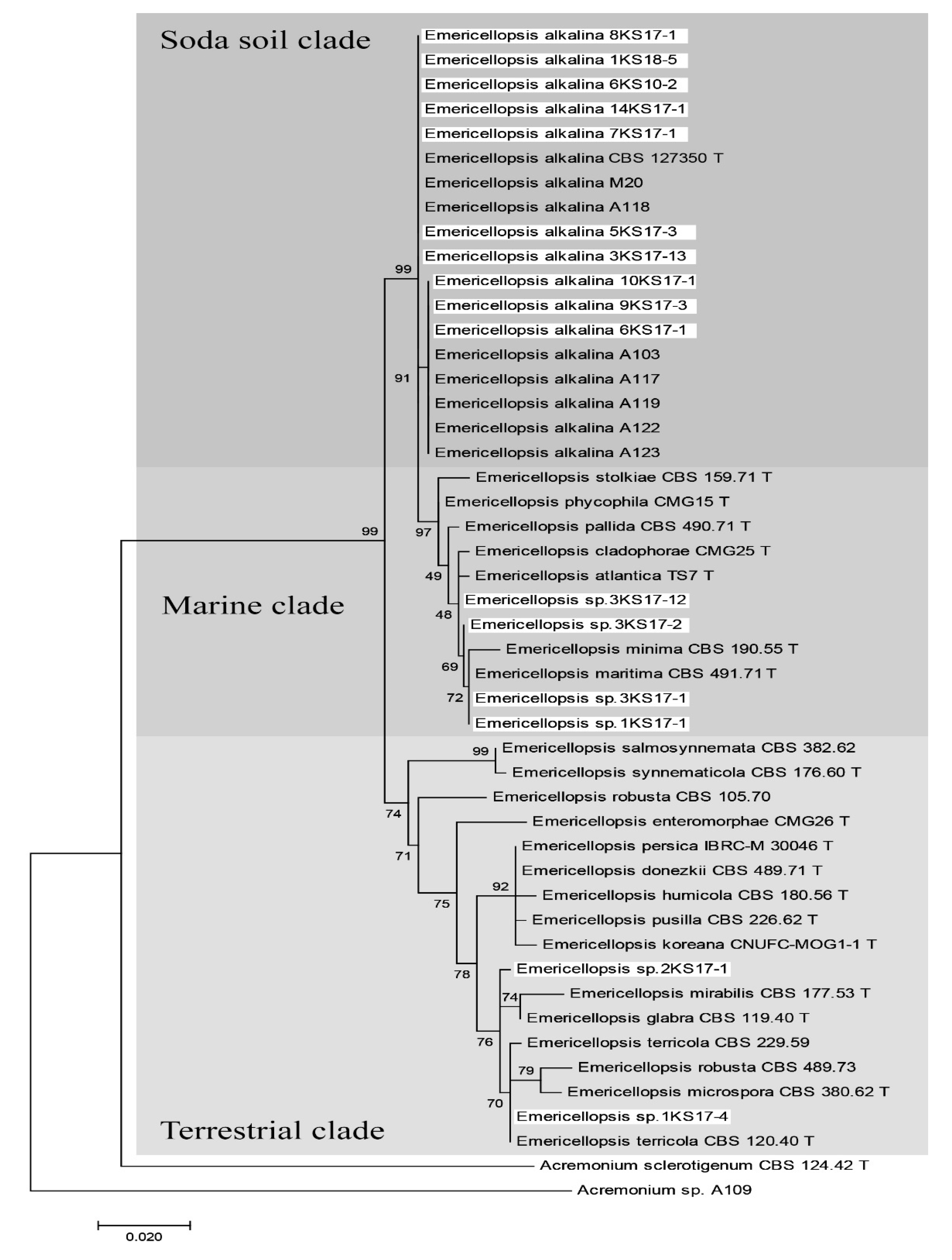 Molecules 27 01736 g001