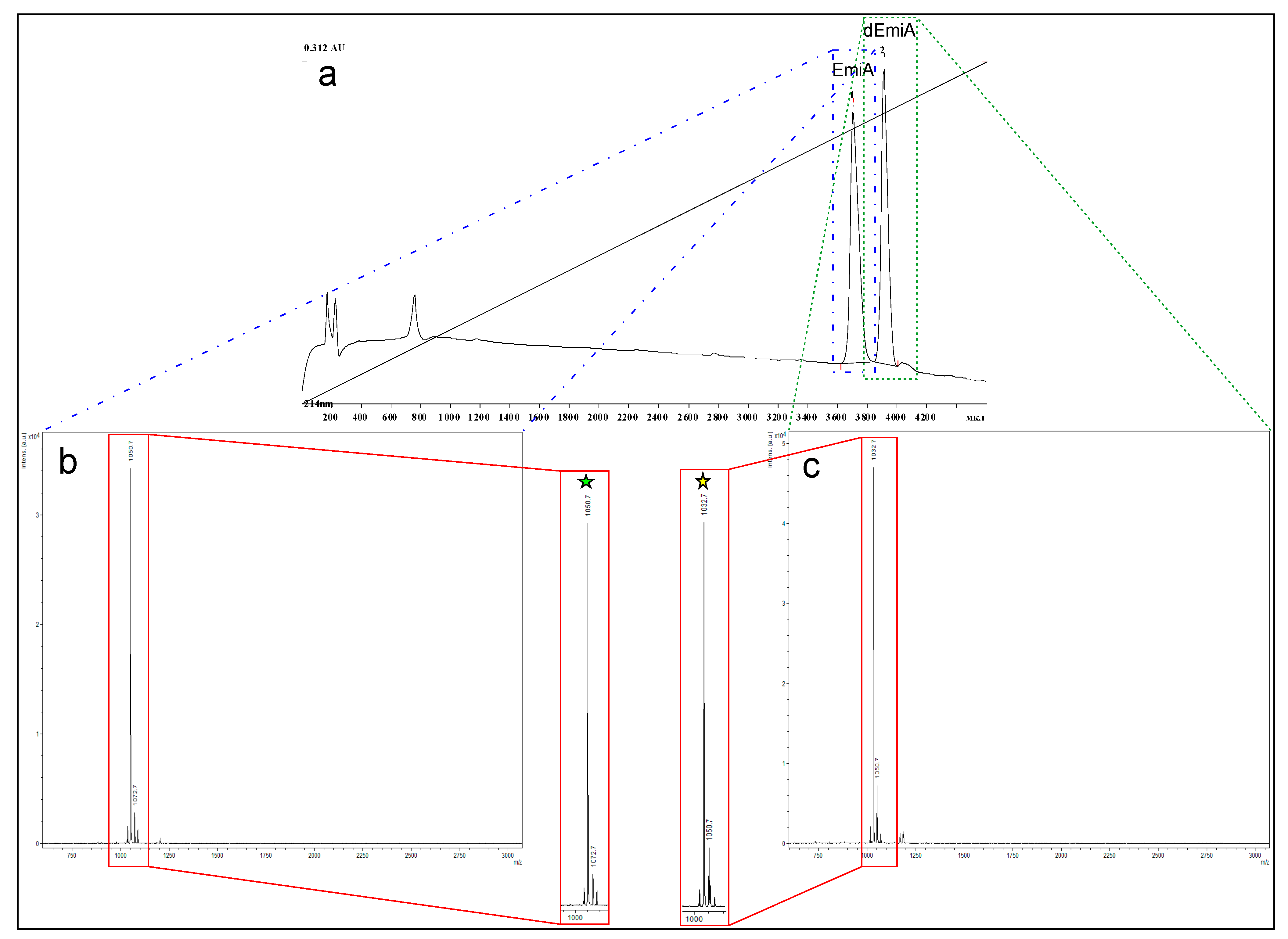Molecules 27 01736 g002