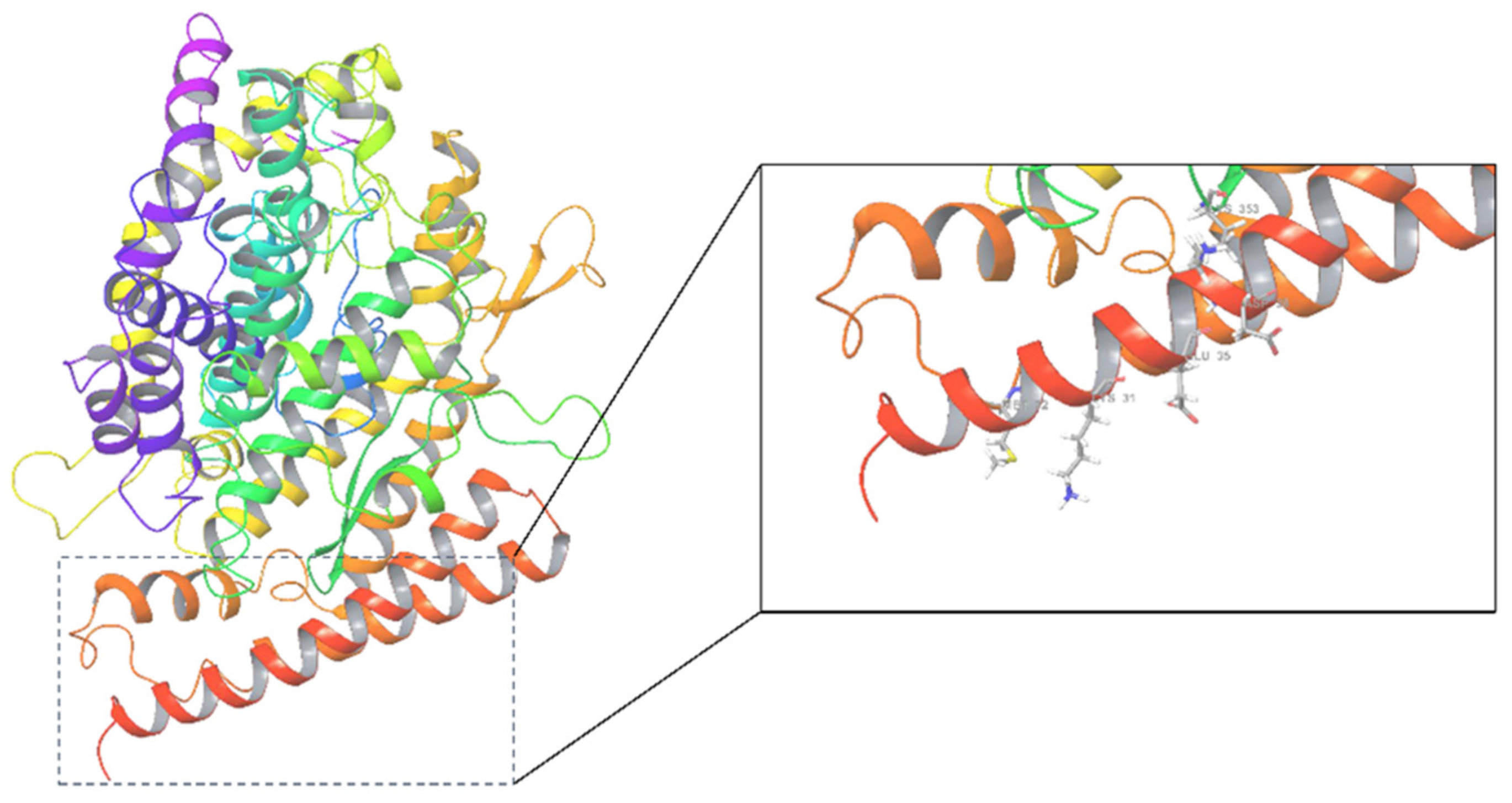 Molecules 27 01740 g001 Molecules 27 01740 g001