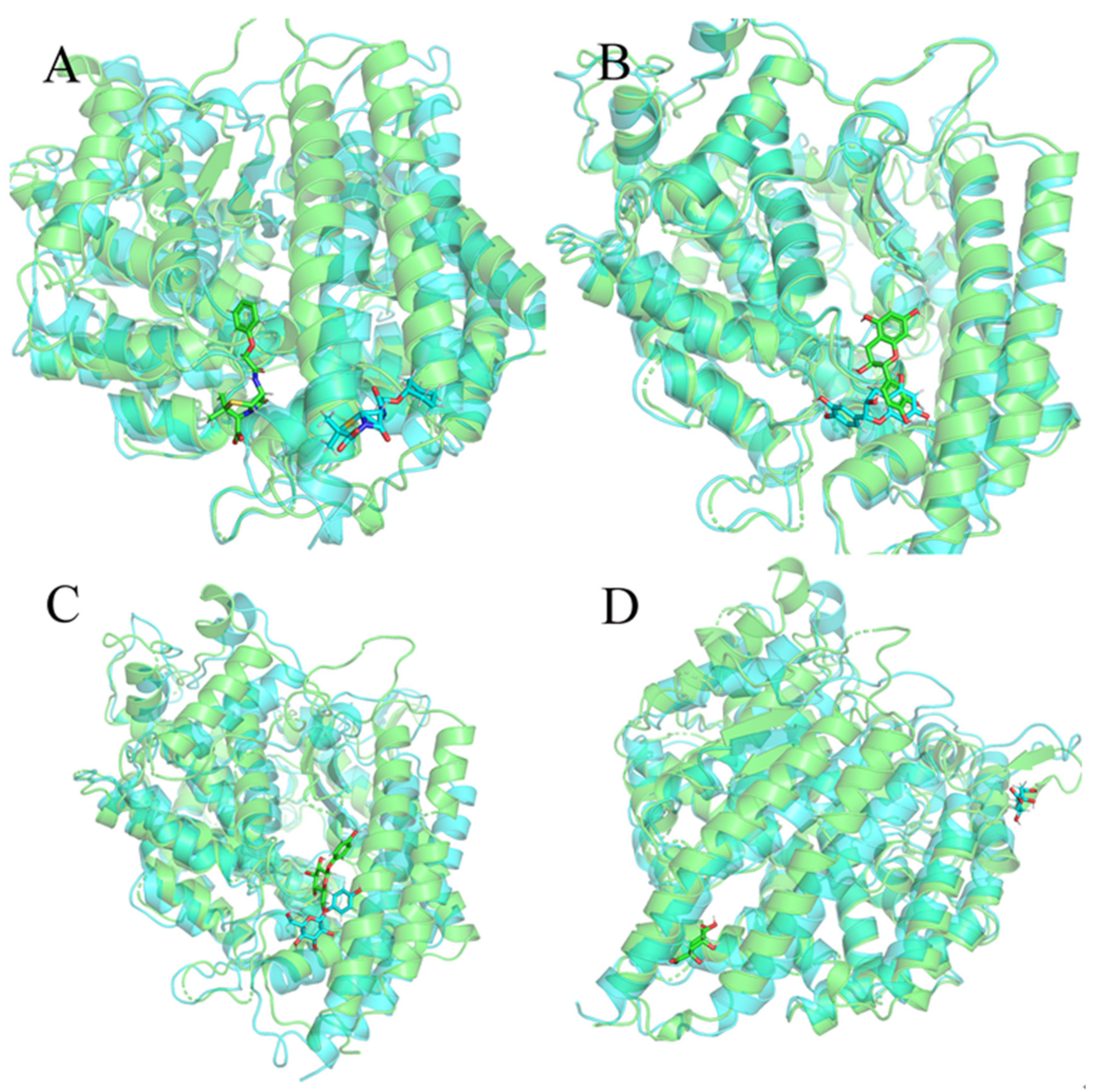 Molecules 27 01740 g005 Molecules 27 01740 g005