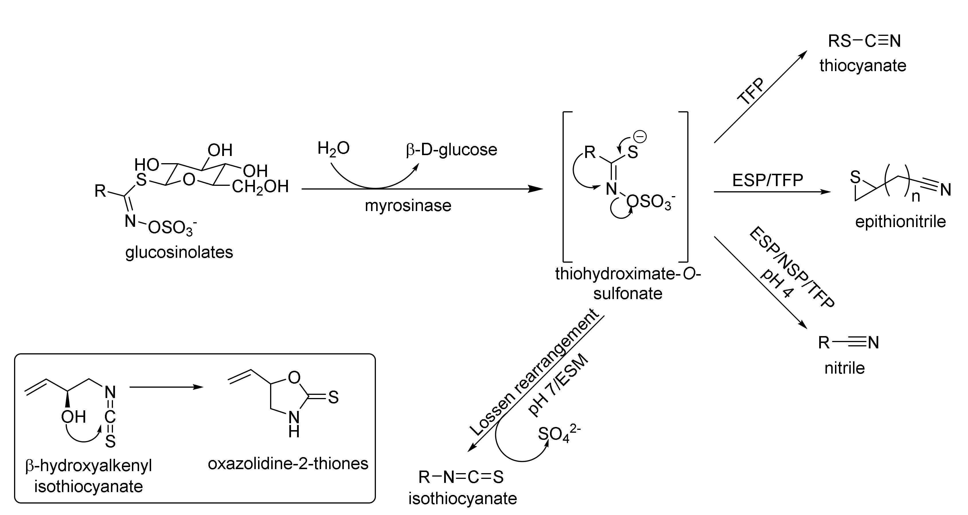 Molecules 27 01750 g002