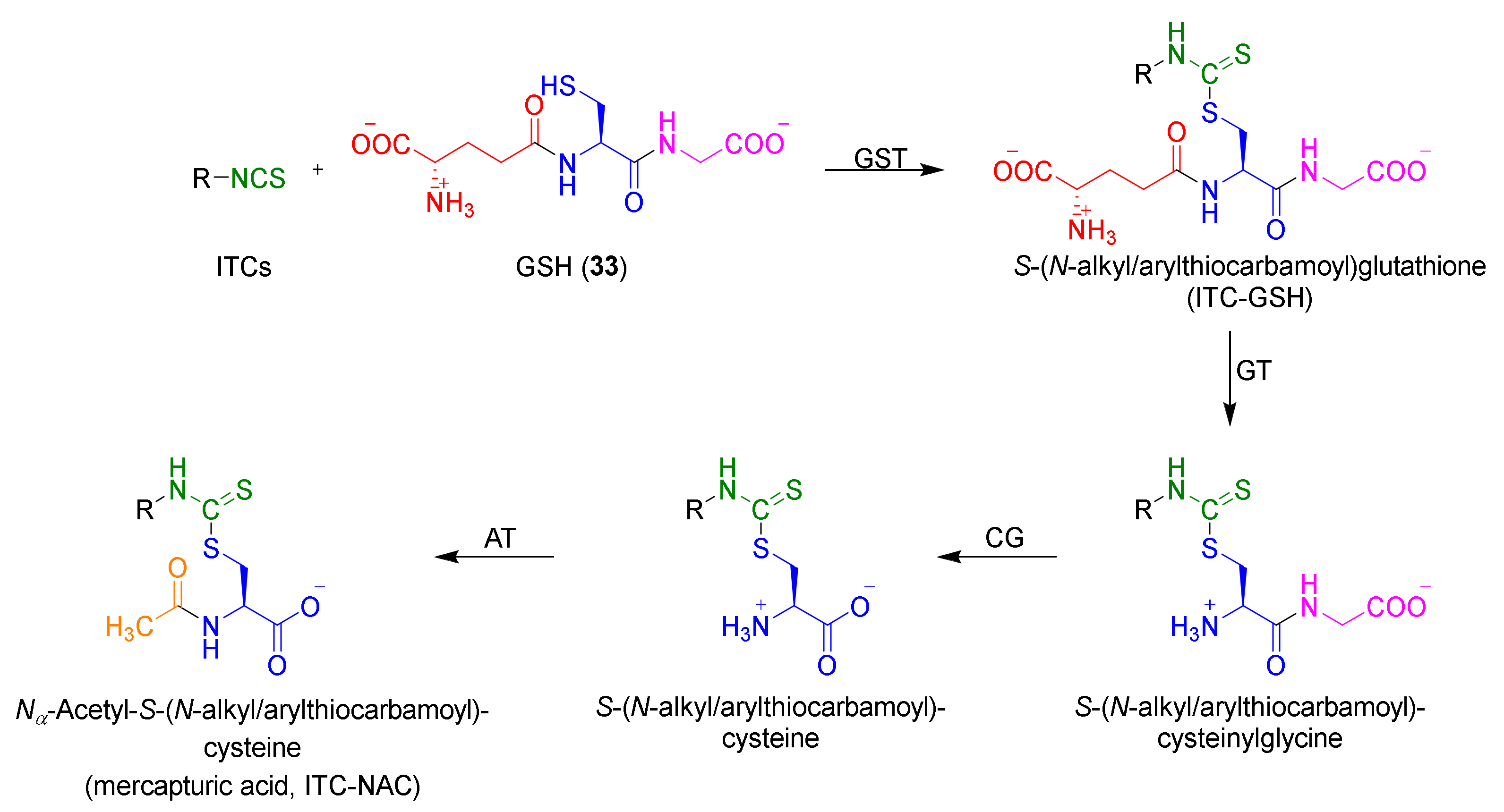 Molecules 27 01750 g006