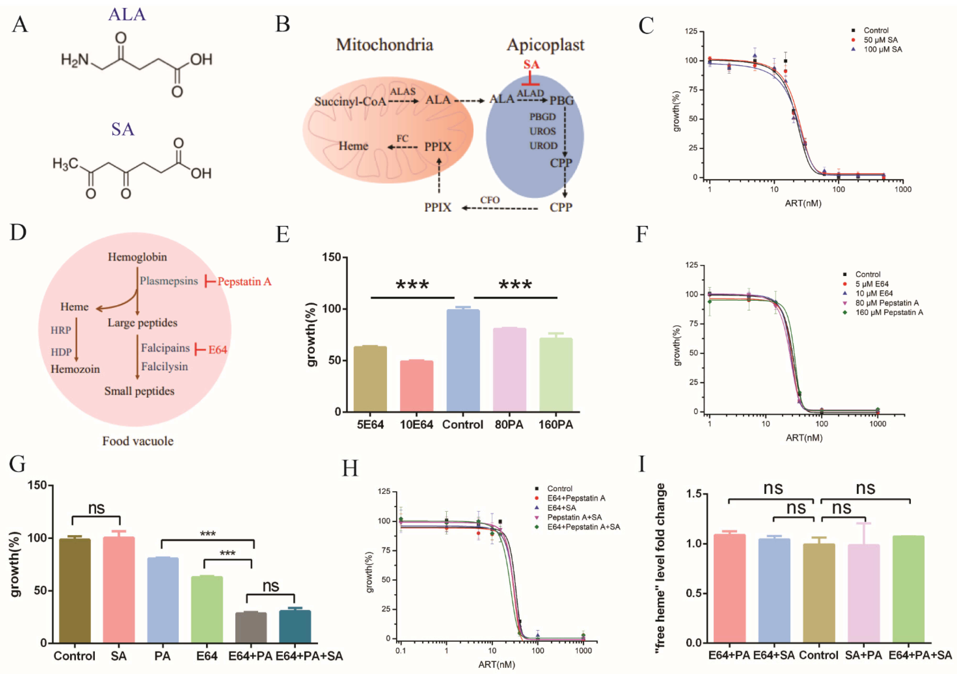 Molecules 27 01755 g005 Molecules 27 01755 g005