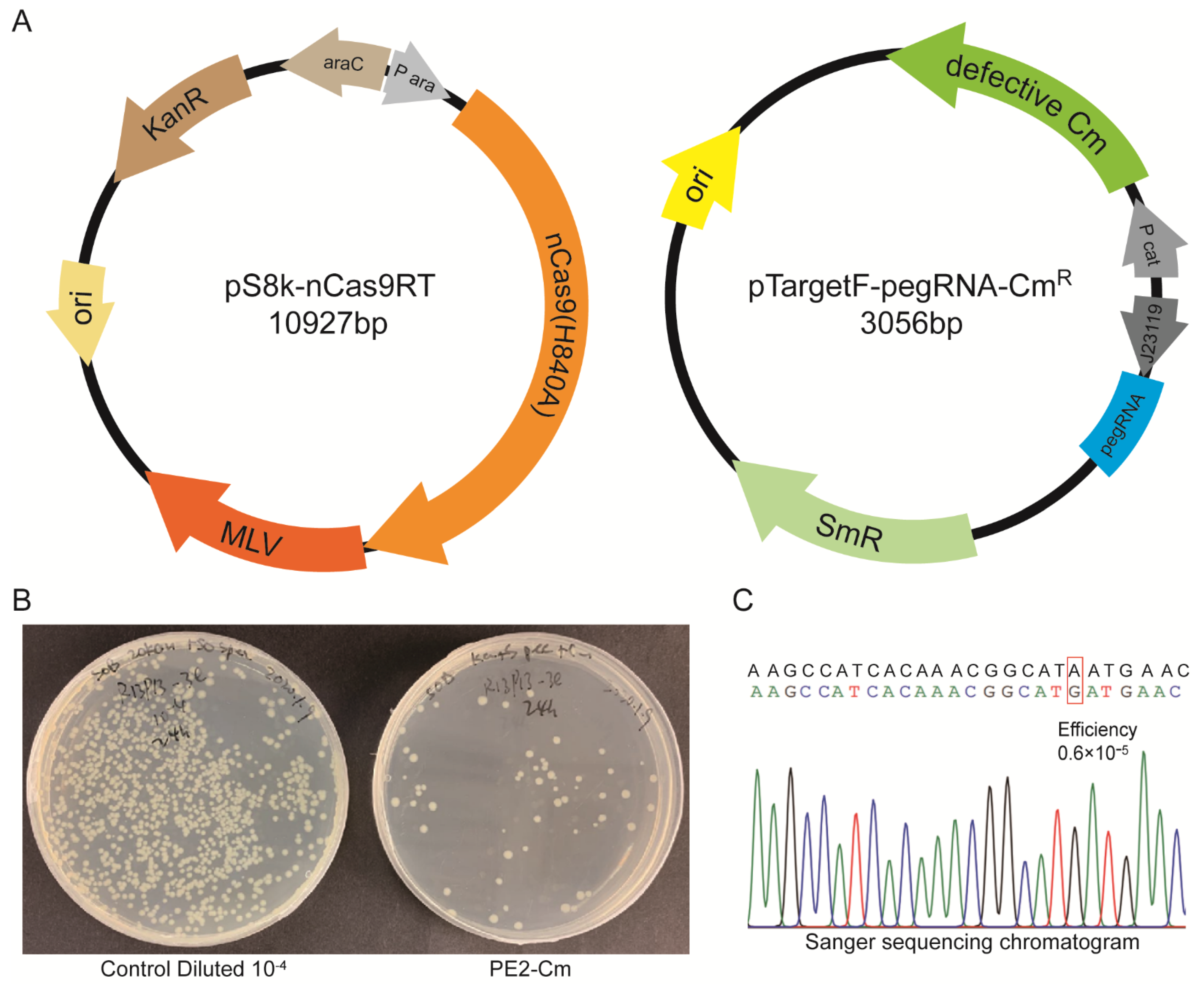 Molecules 27 01758 g002 550