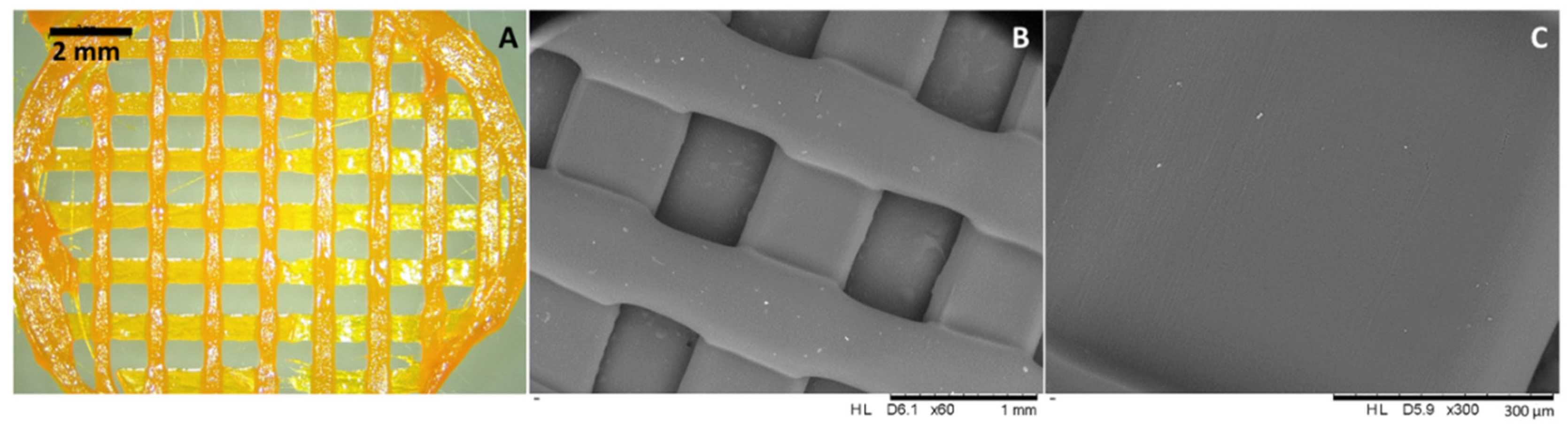 Molecules 27 01759 g003 550