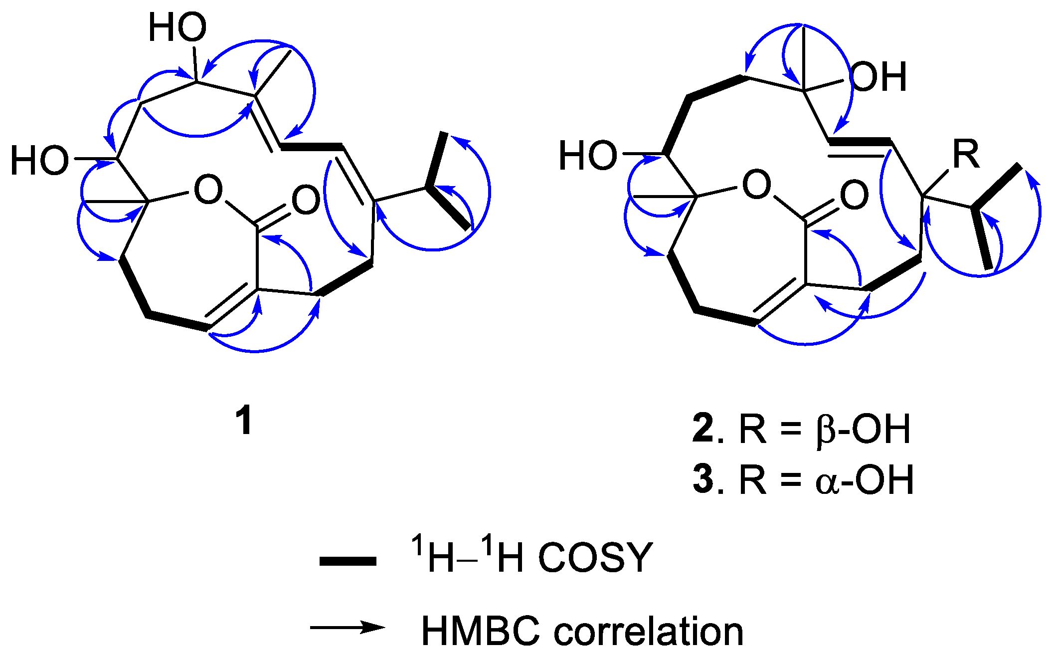 Molecules 27 01760 g001