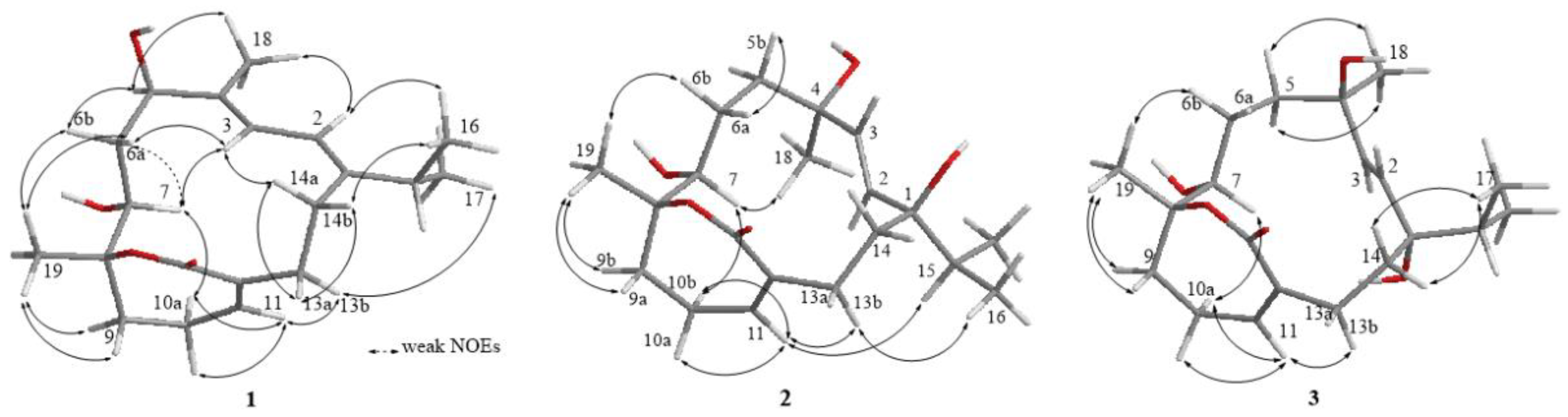 Molecules 27 01760 g002