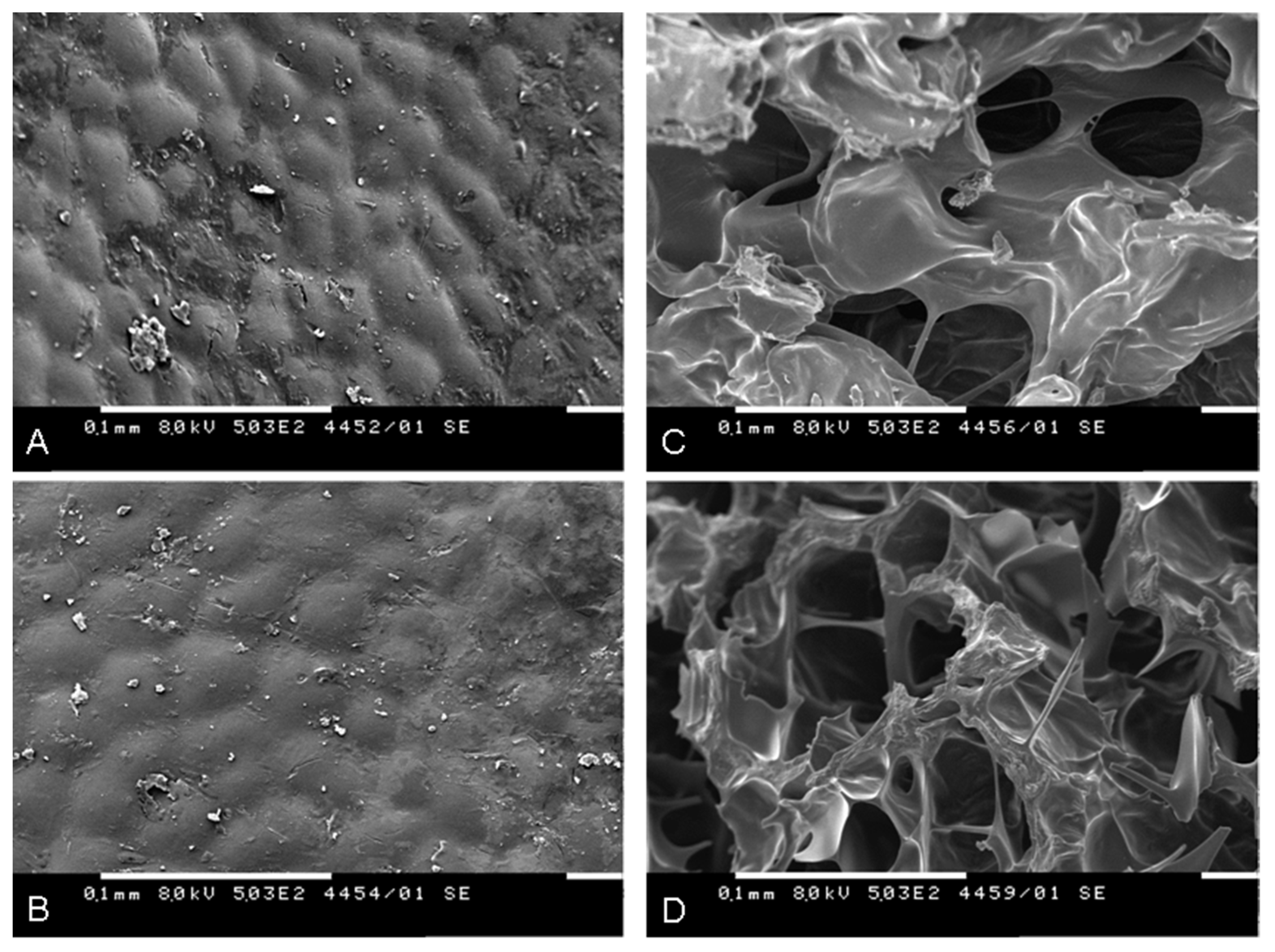 Molecules 27 01765 g005 550