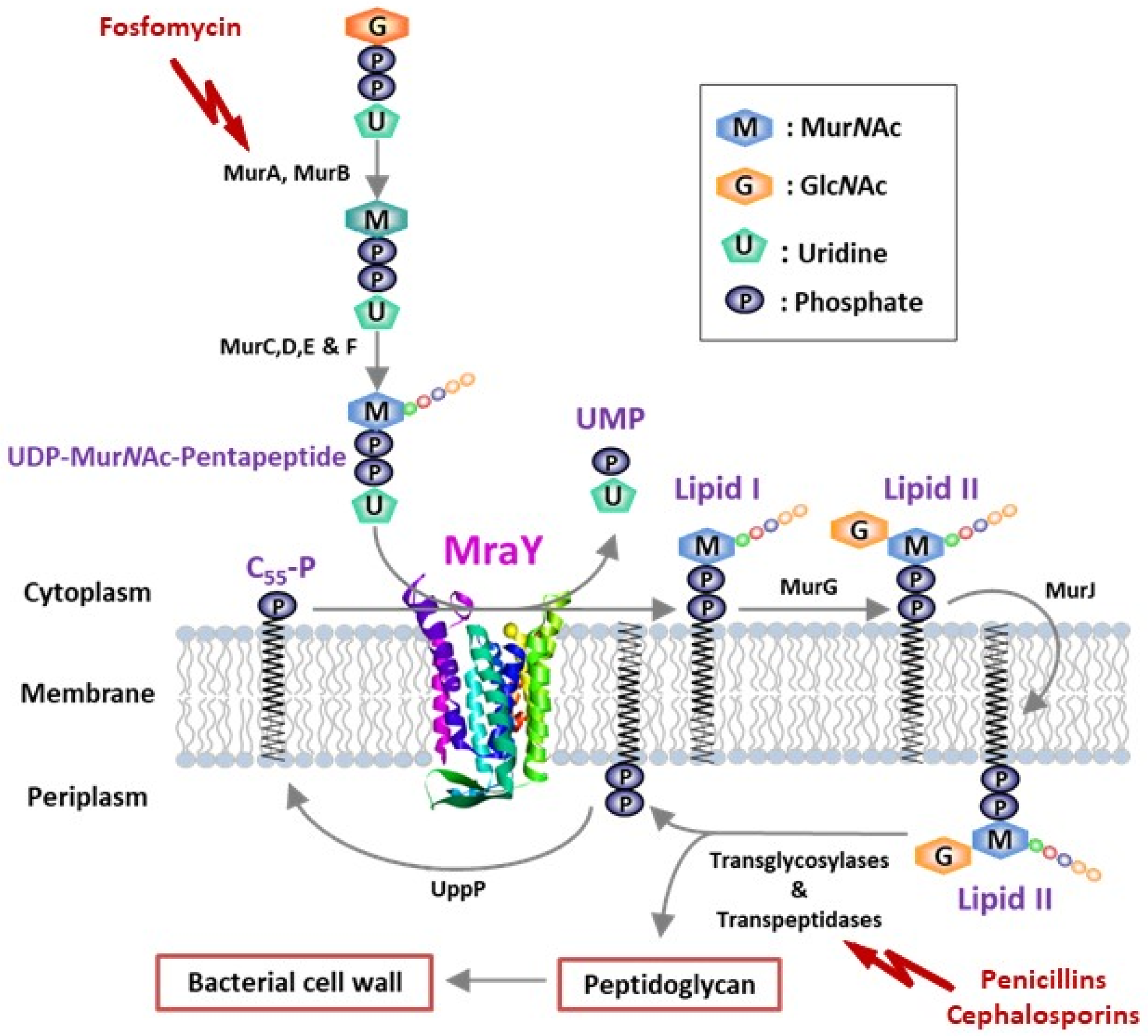 Molecules 27 01769 g001